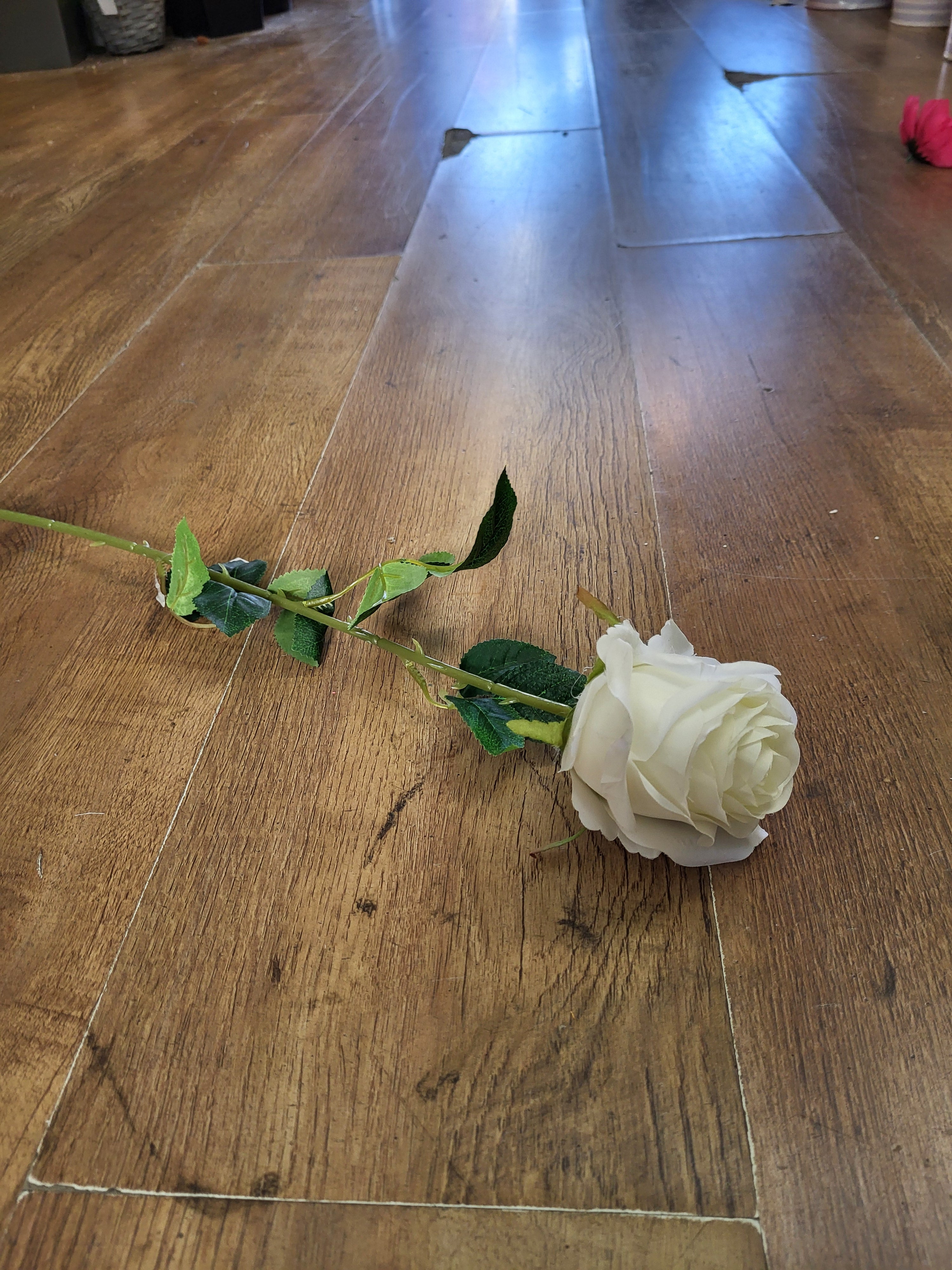 Single Ivory Harper Rose image 1