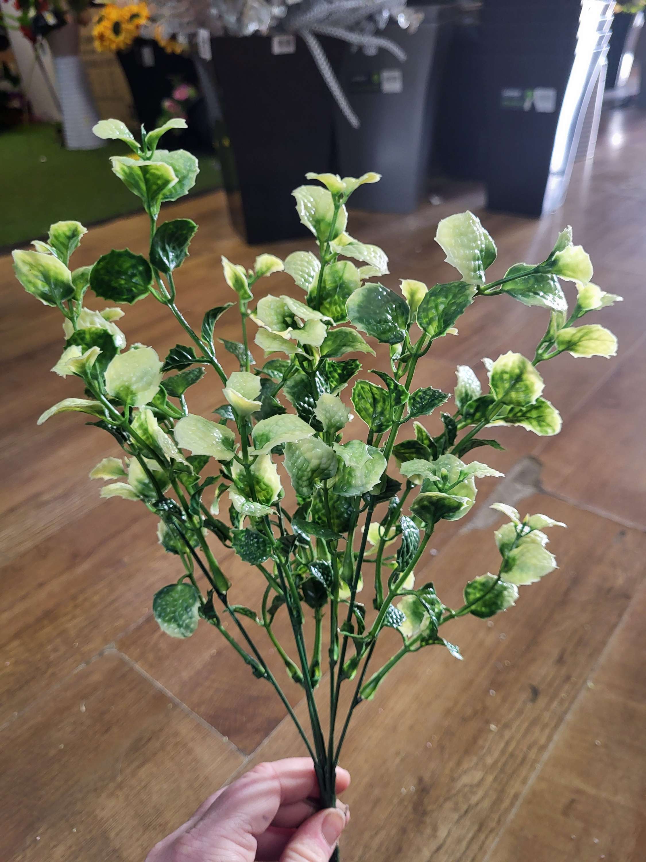 Mint bush - 3 colours available image 3