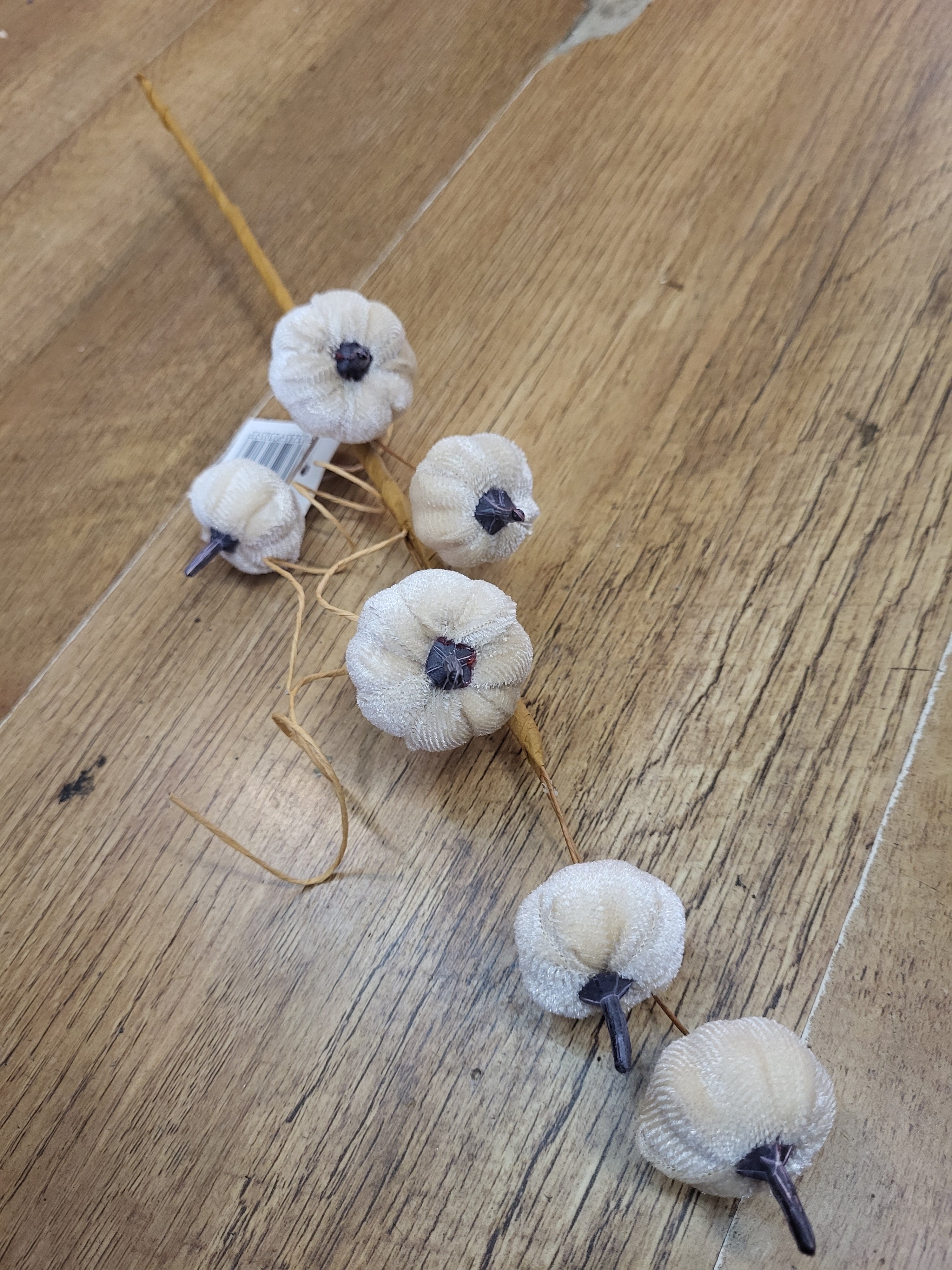 Cream velvet miniature pumpkin stem  image 2