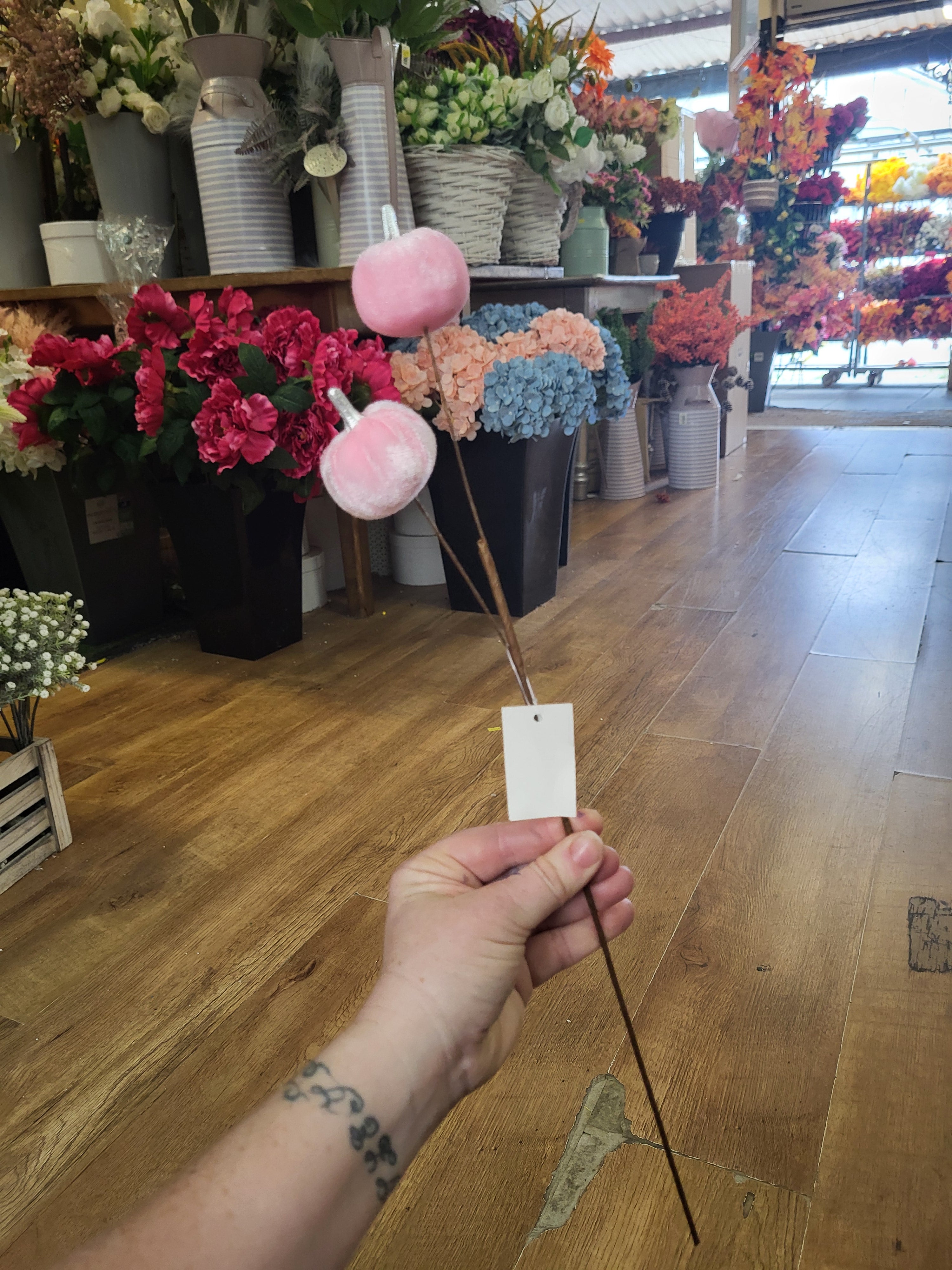 Medium length pale pink velvet pumpkin stem  image 2