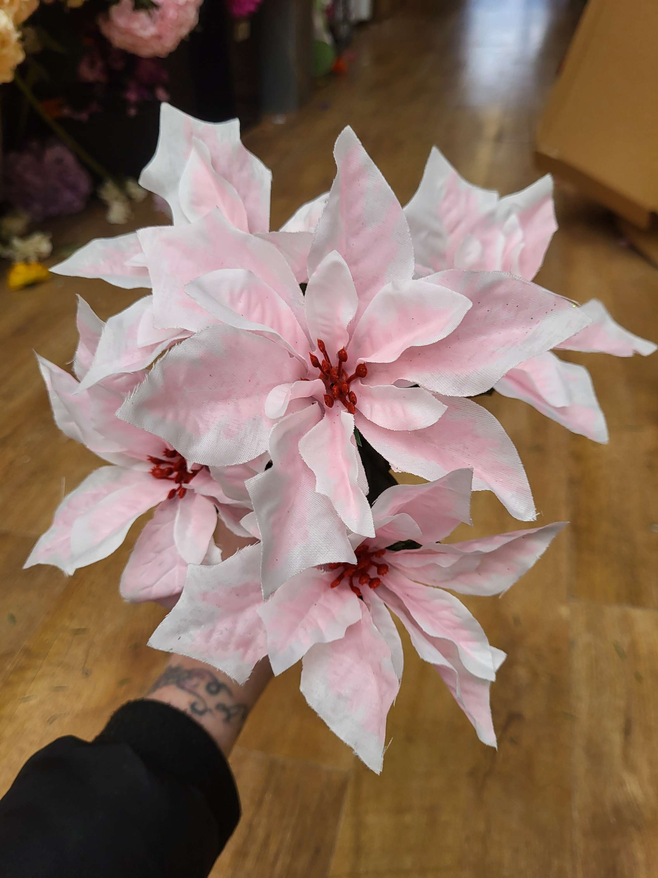 Pale pink and white poinsettia bunch image 0