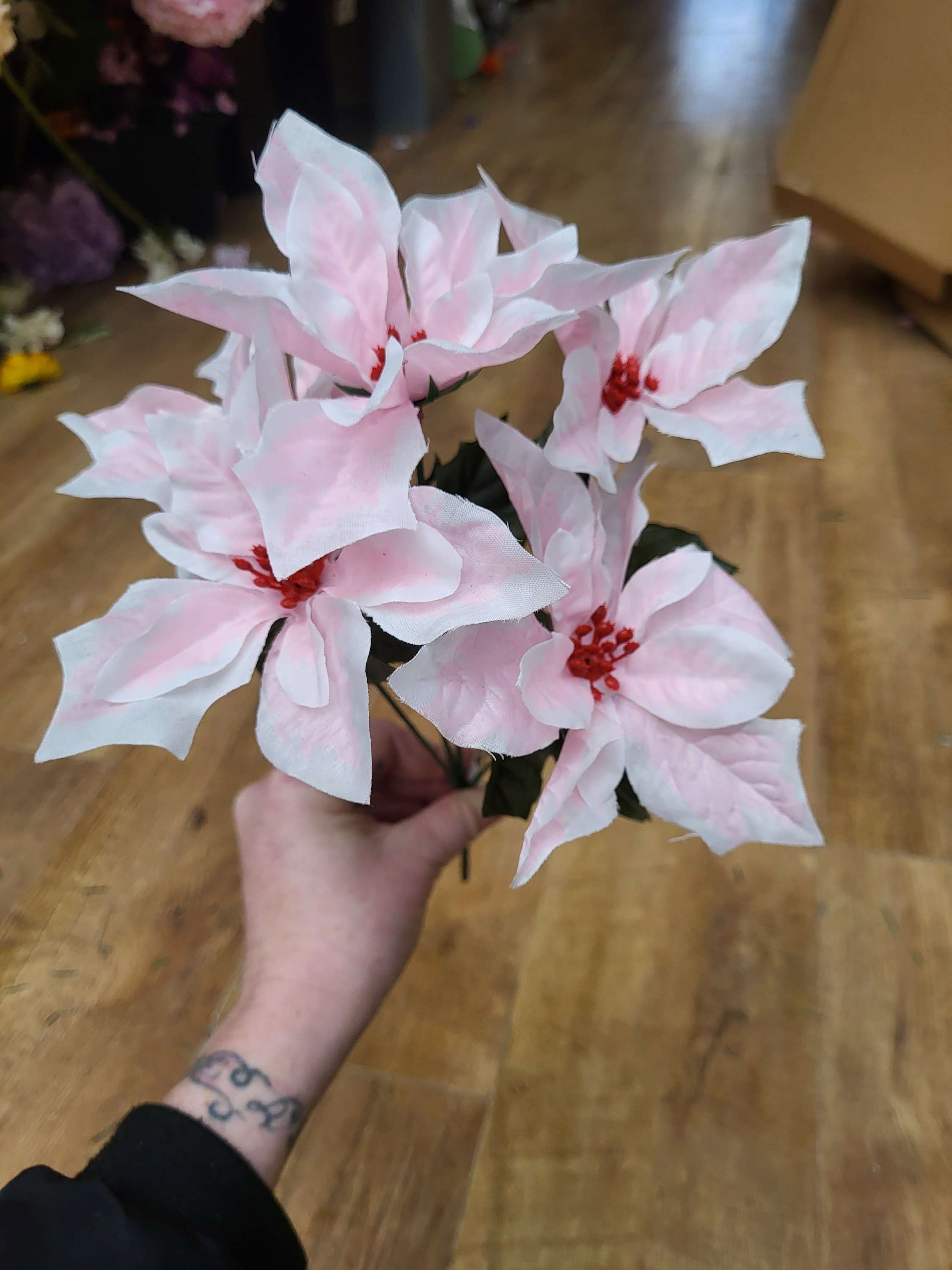 Pale pink and white poinsettia bunch image 2