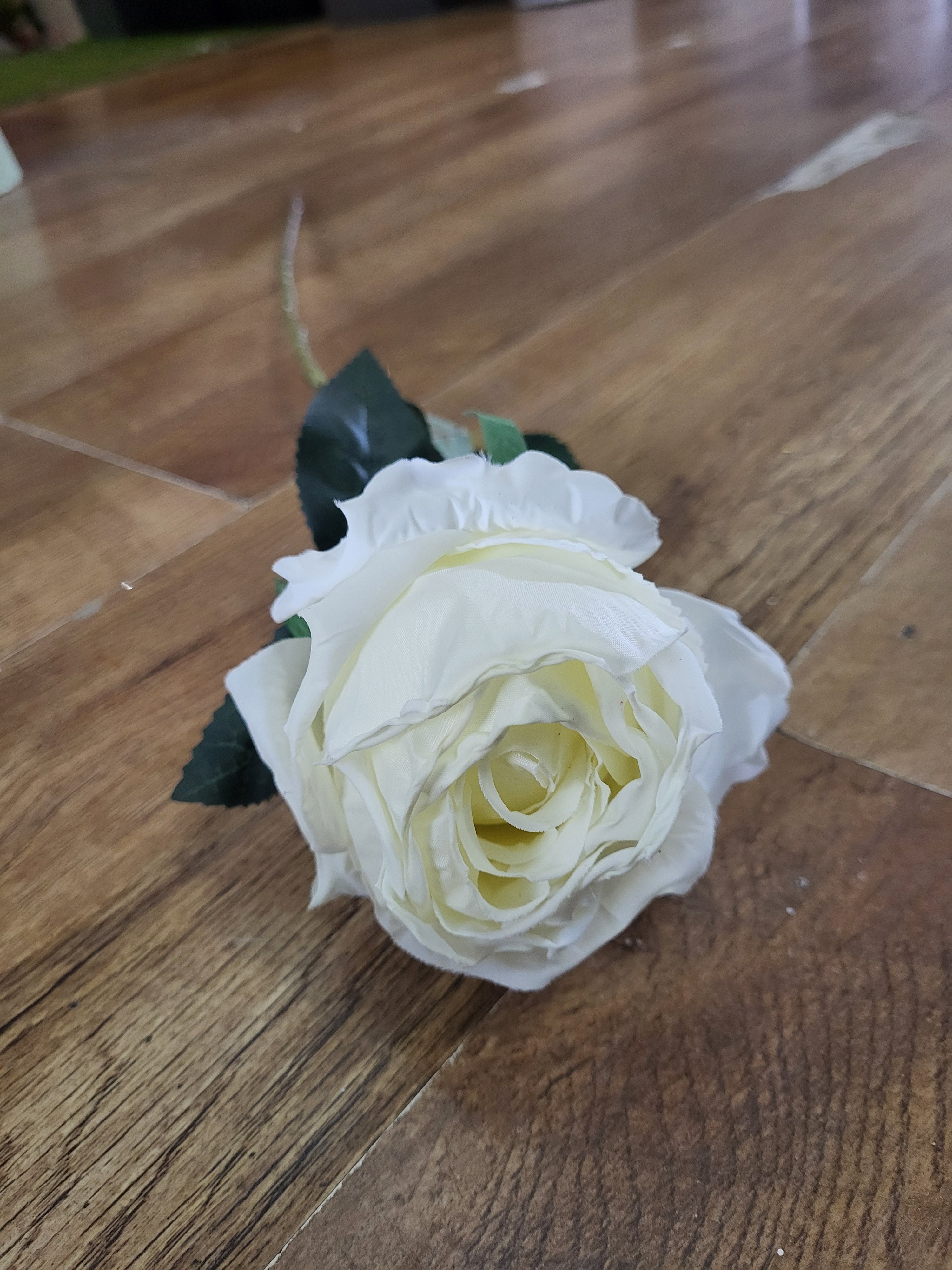 Long stem dried inspired ivory globe rose image 0