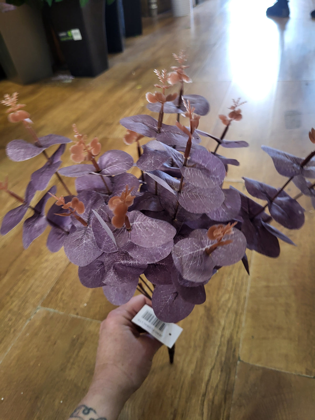 Big bunch purple eucalyptus  image 2