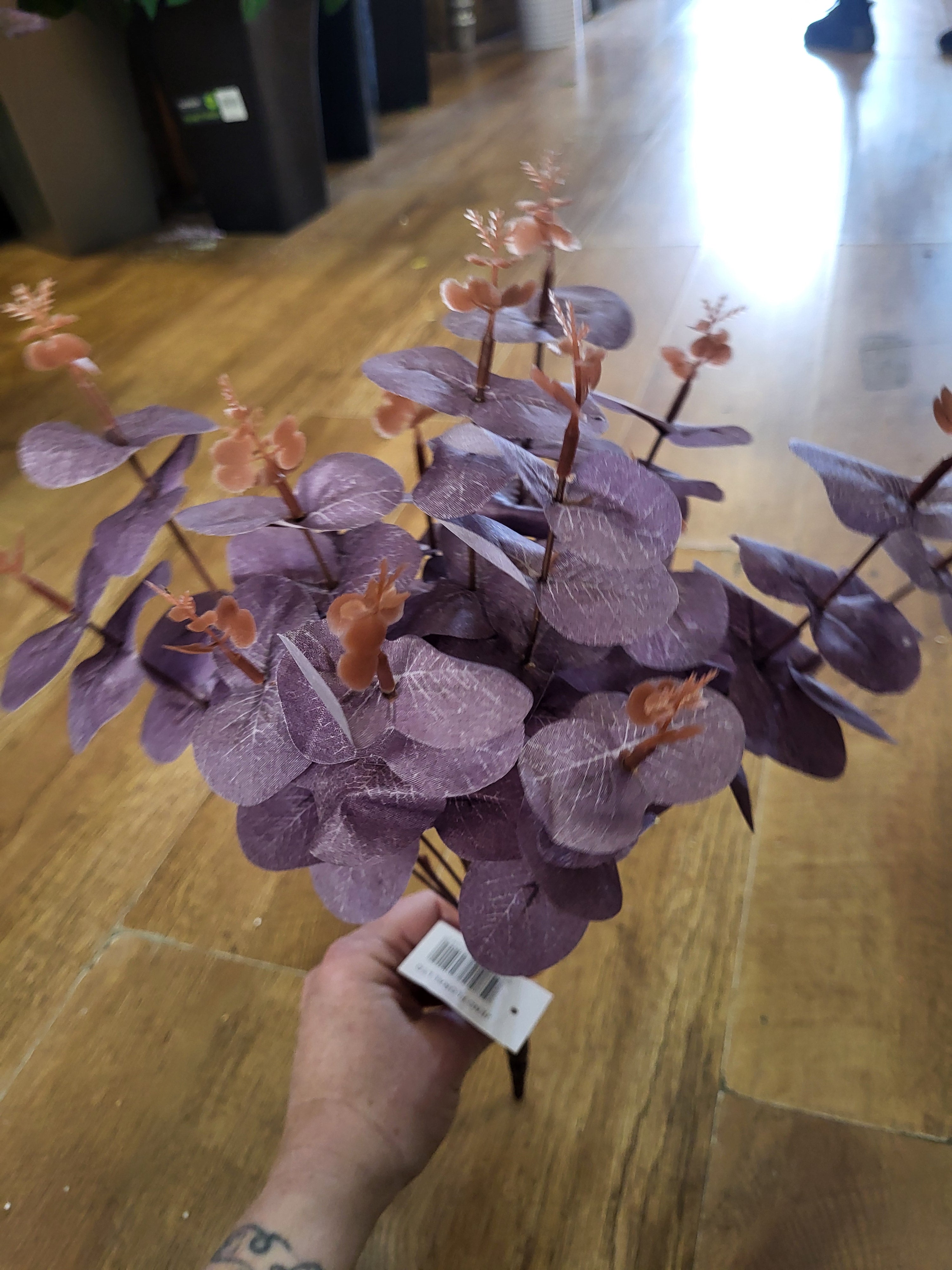 Big bunch purple eucalyptus  image 2