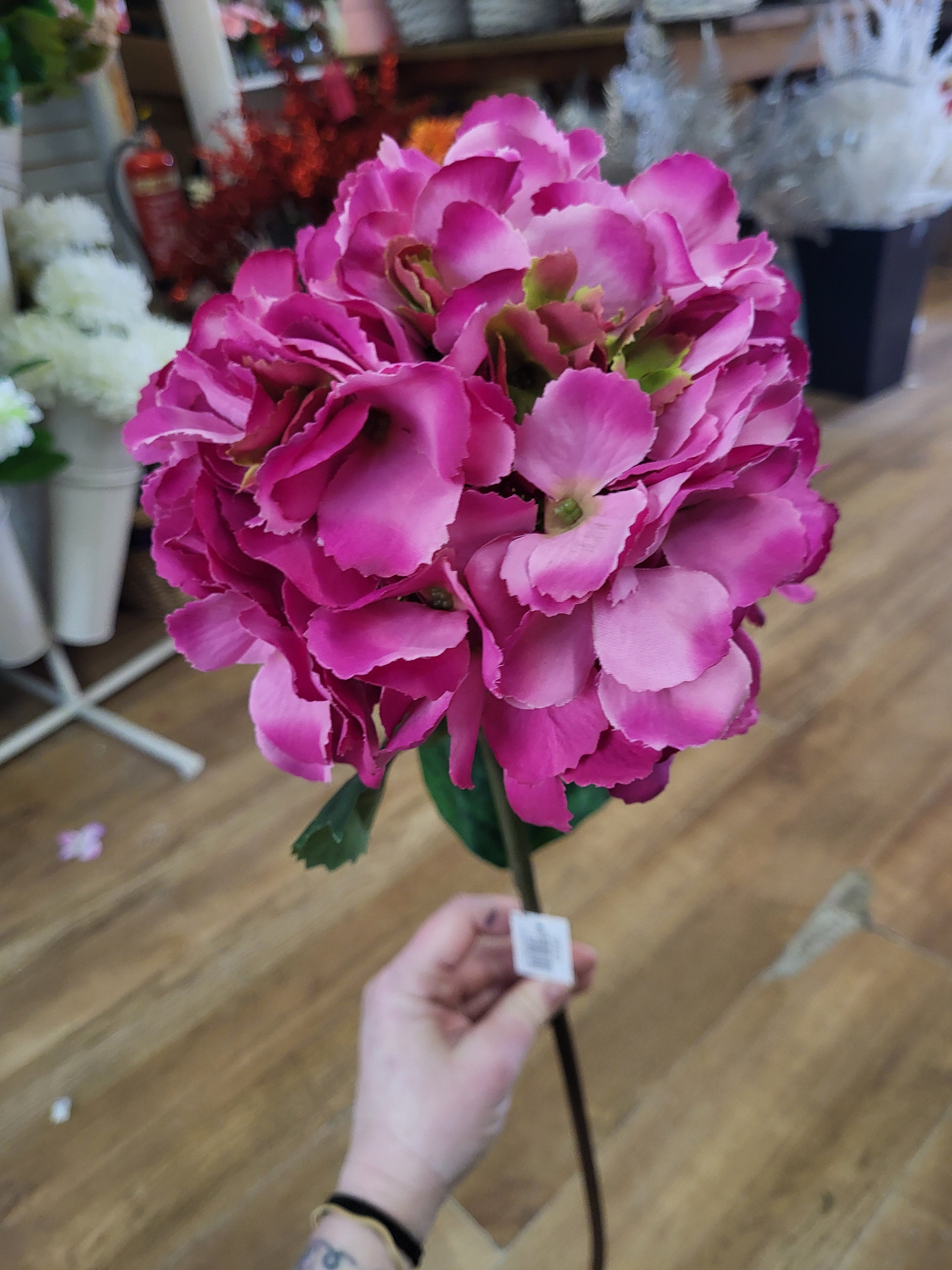 Long stem hot pink mophead hydrangea  image 0