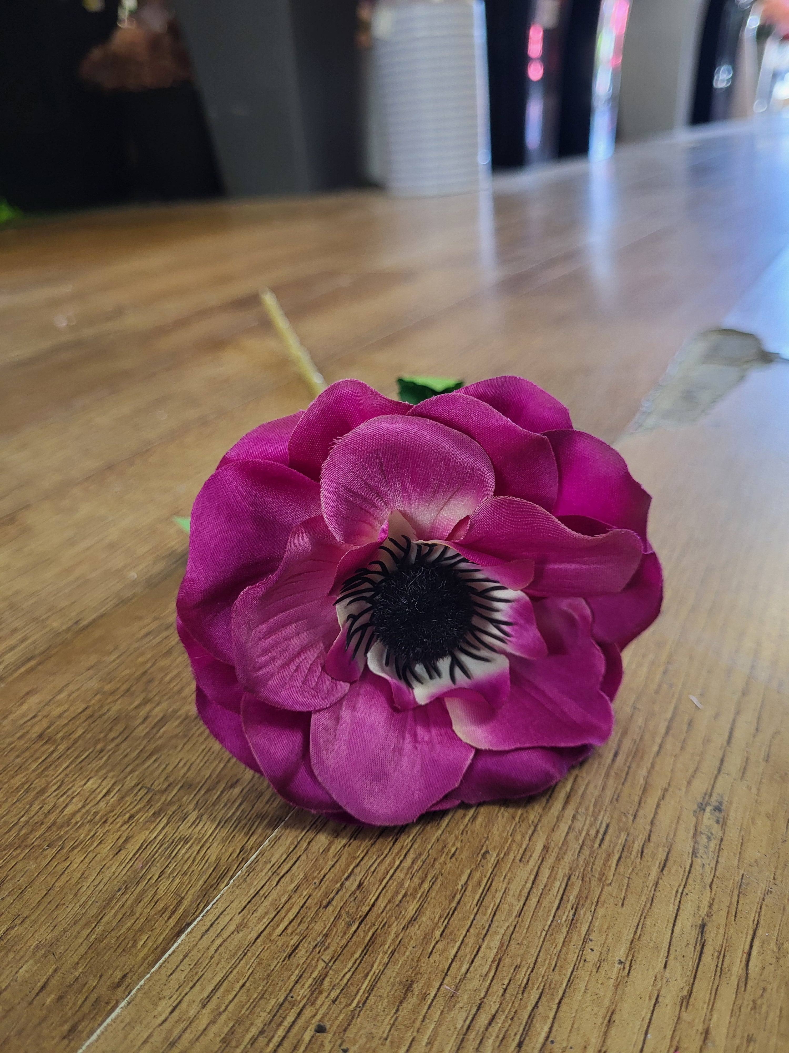 Single cerise anemone  image 1