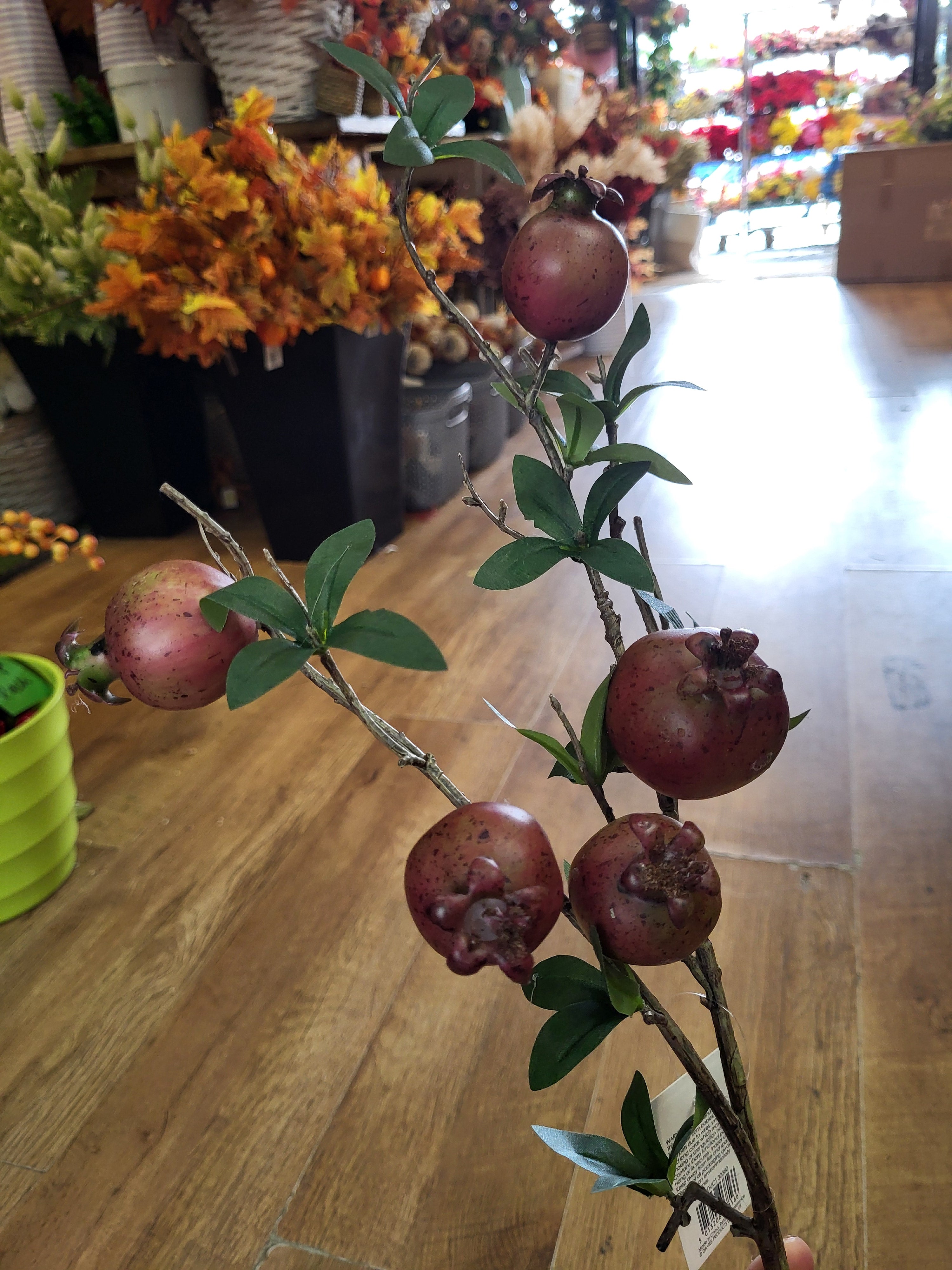 72cm tall Pomegranate branch image 2