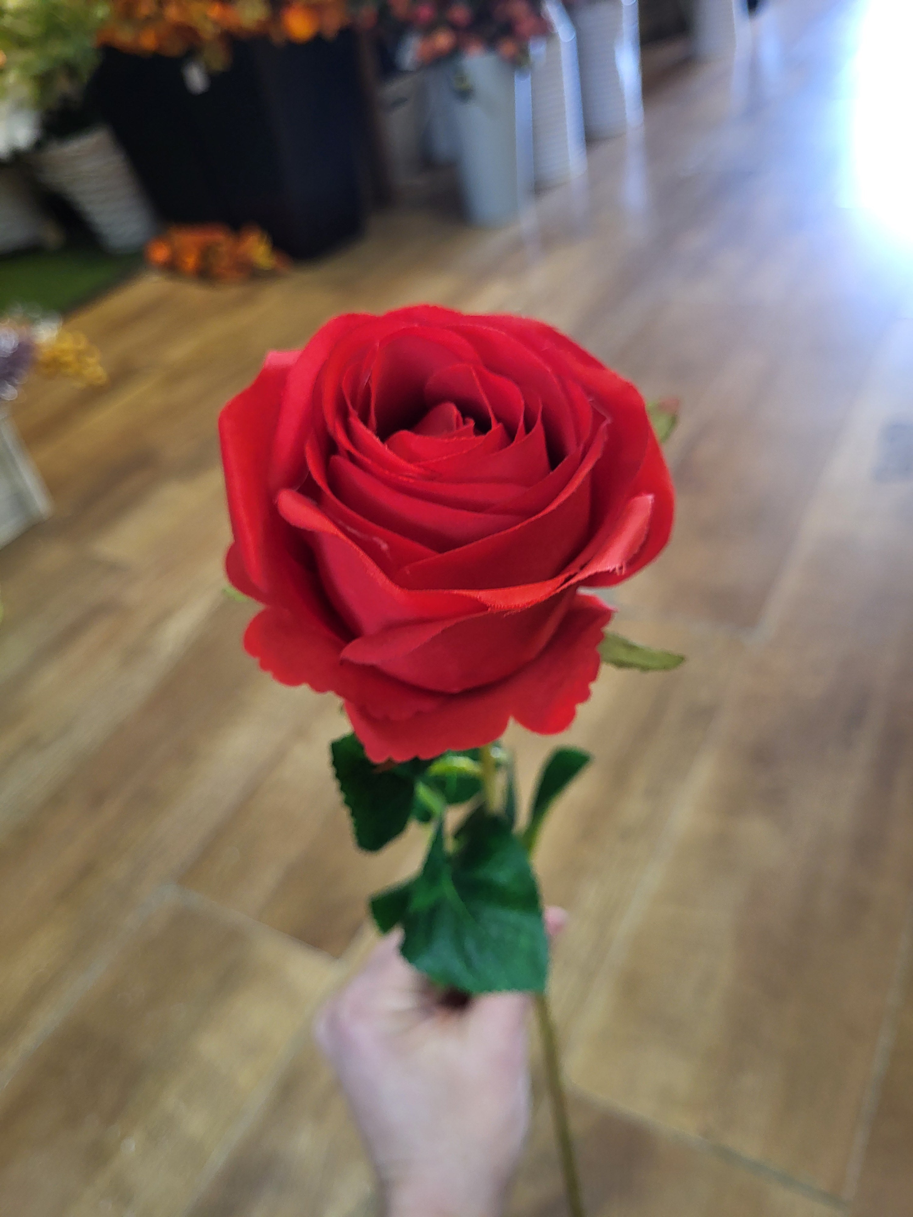 Long stem single red Harper Rose  image 3