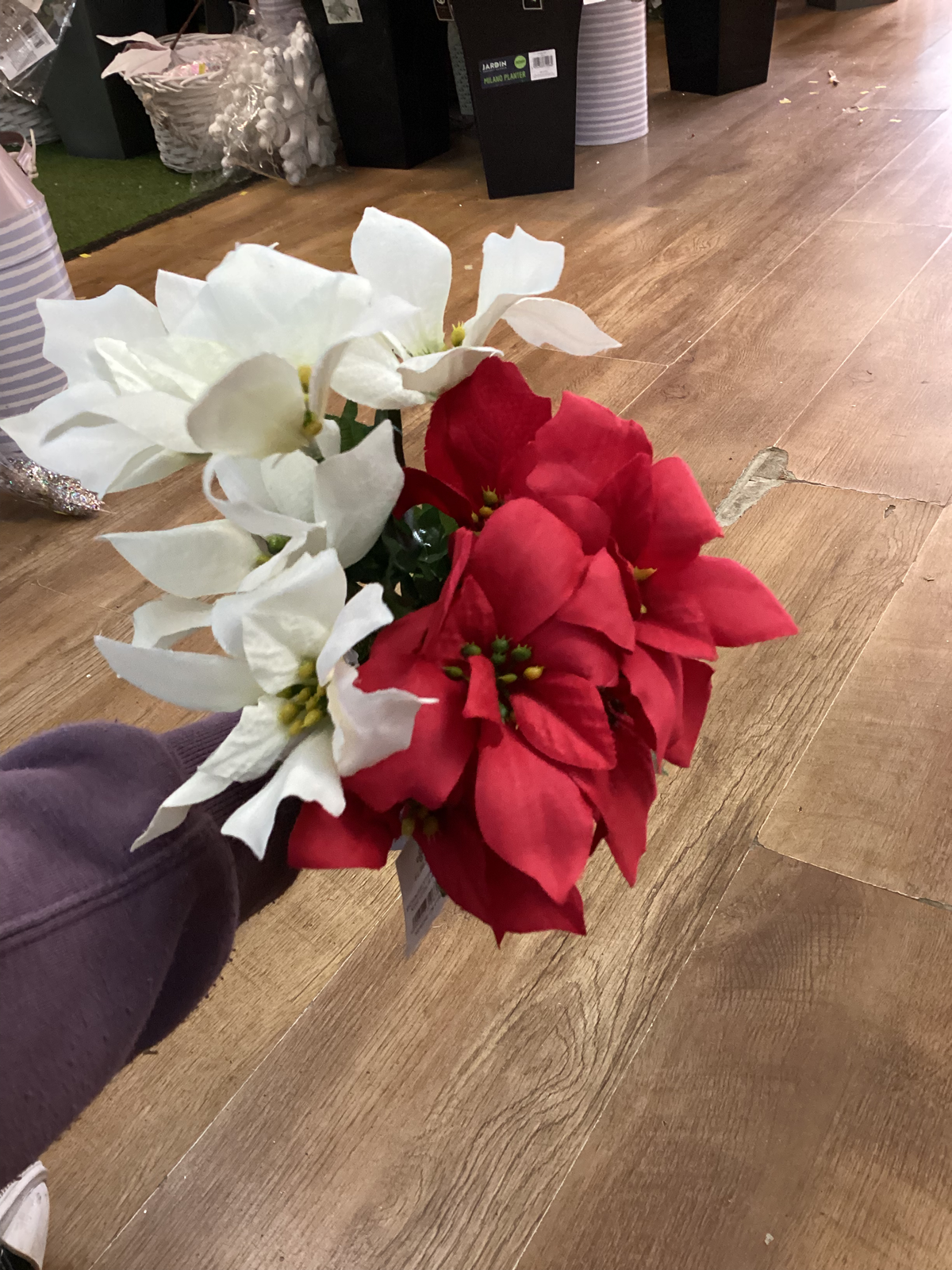 Plain poinsettia bunch - 2 colours available image 1