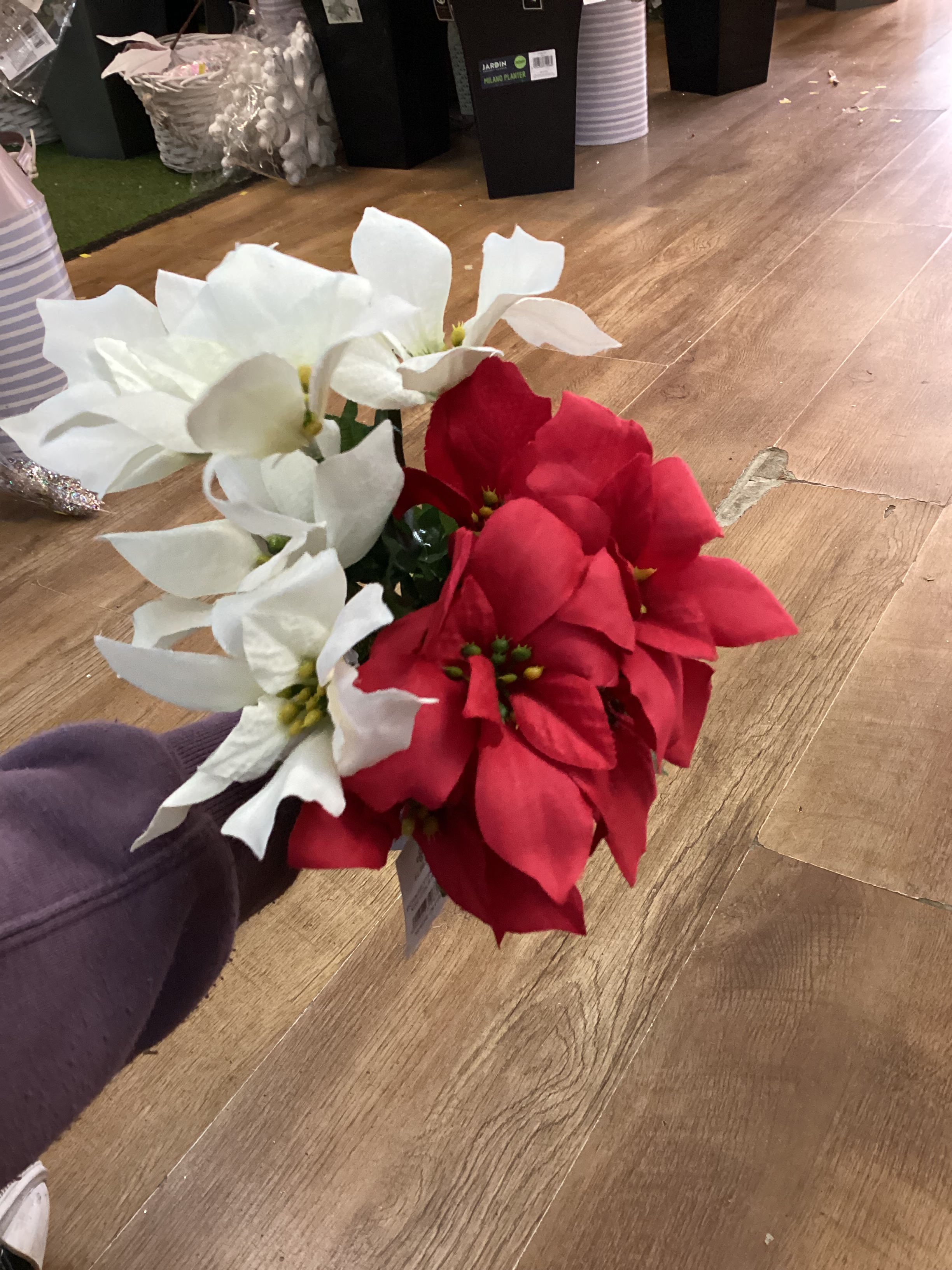 Plain poinsettia bunch - 2 colours available image 1