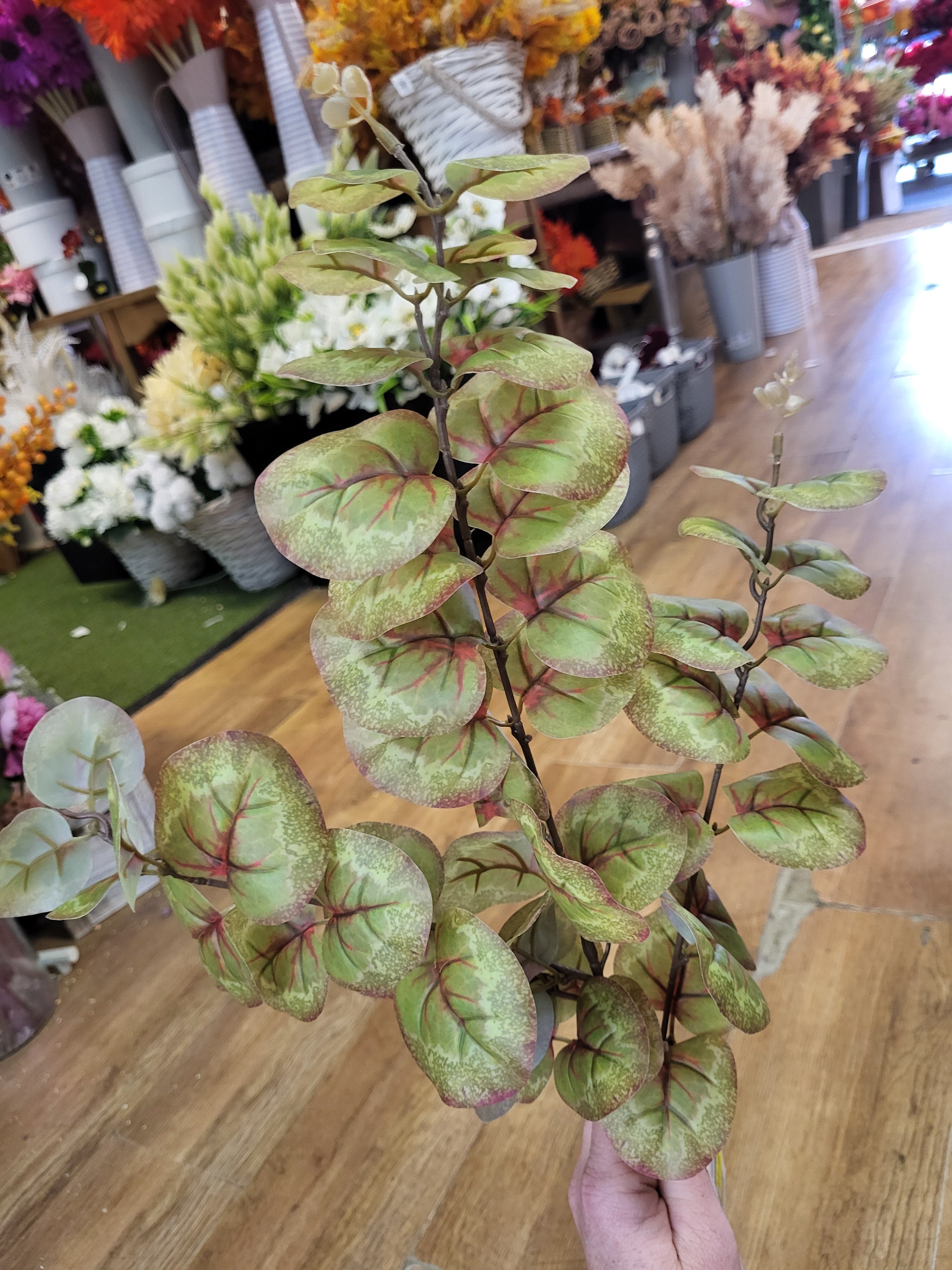 Long stem brown and green rounded eucalyptus spray  image 3