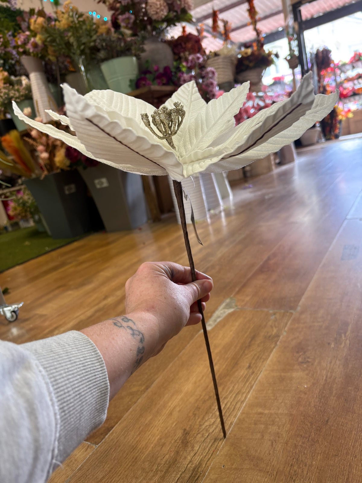 Large white velvet single poinsettia