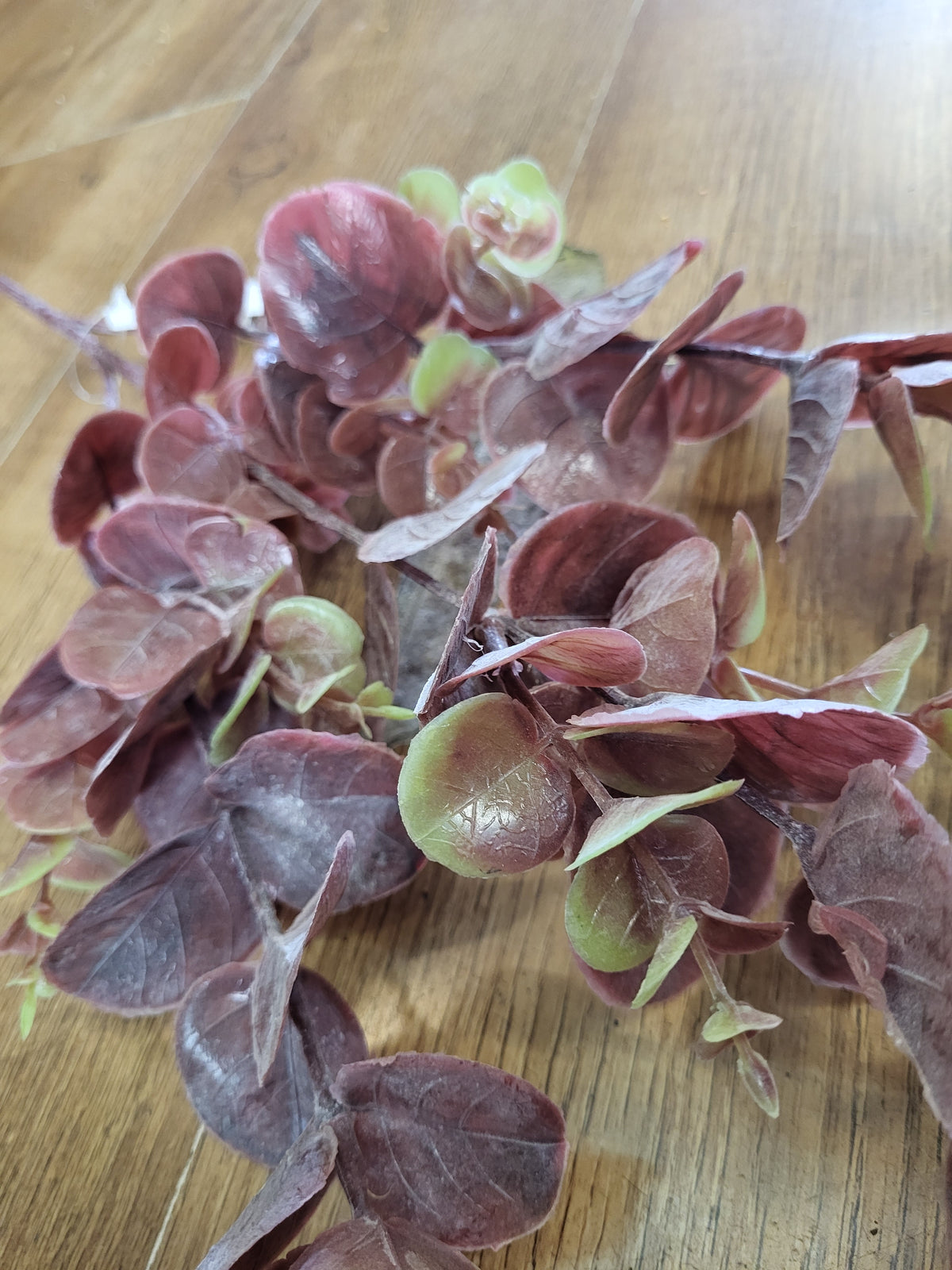 Long stem plastic Reddish brown eucalyptus spray  image 2