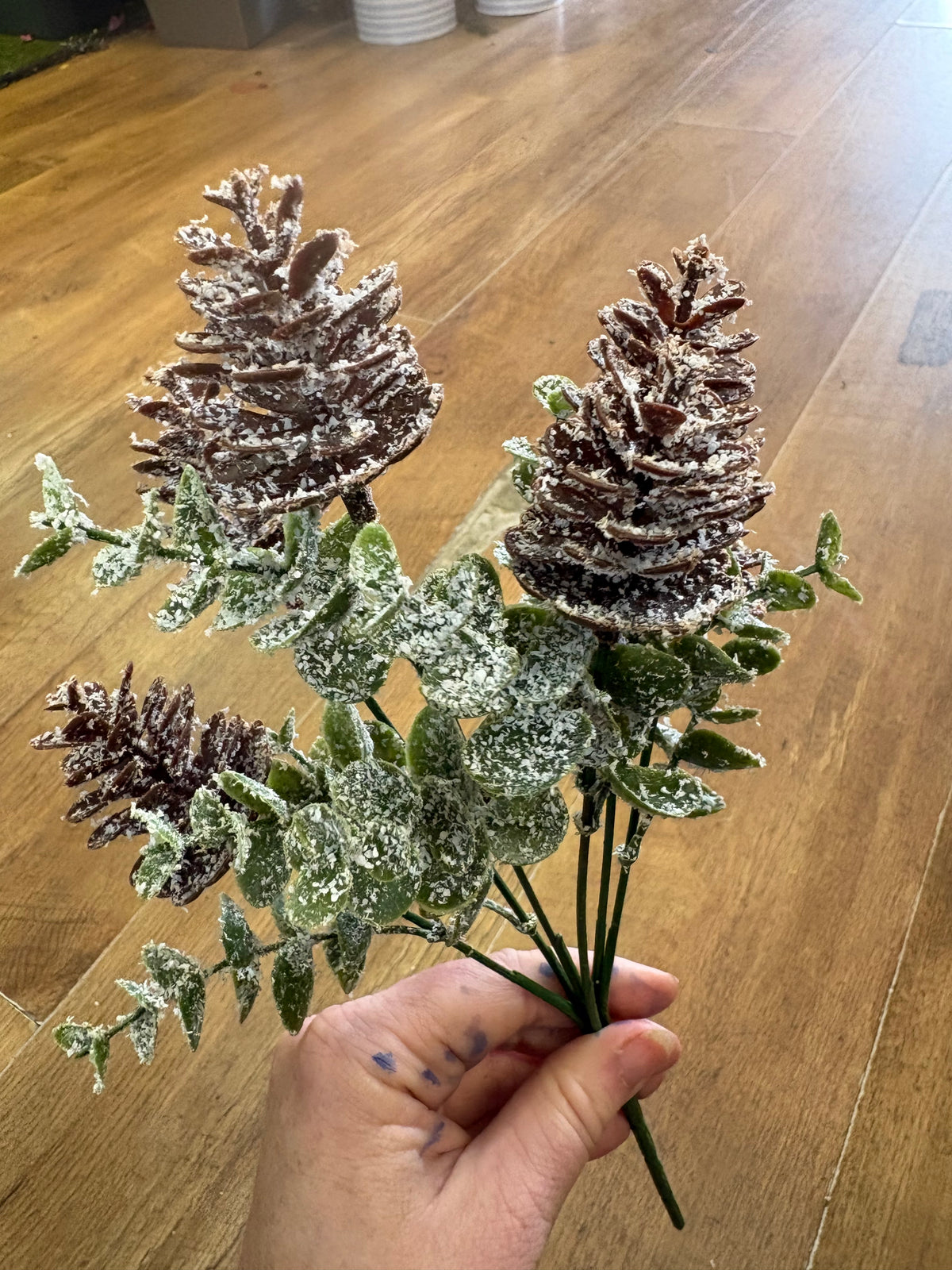 Snowy cones and eucalyptus bunch