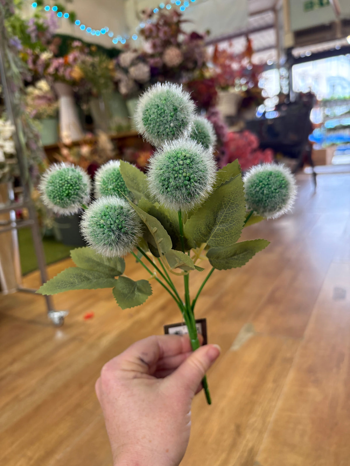 Green fluffy balls bunch