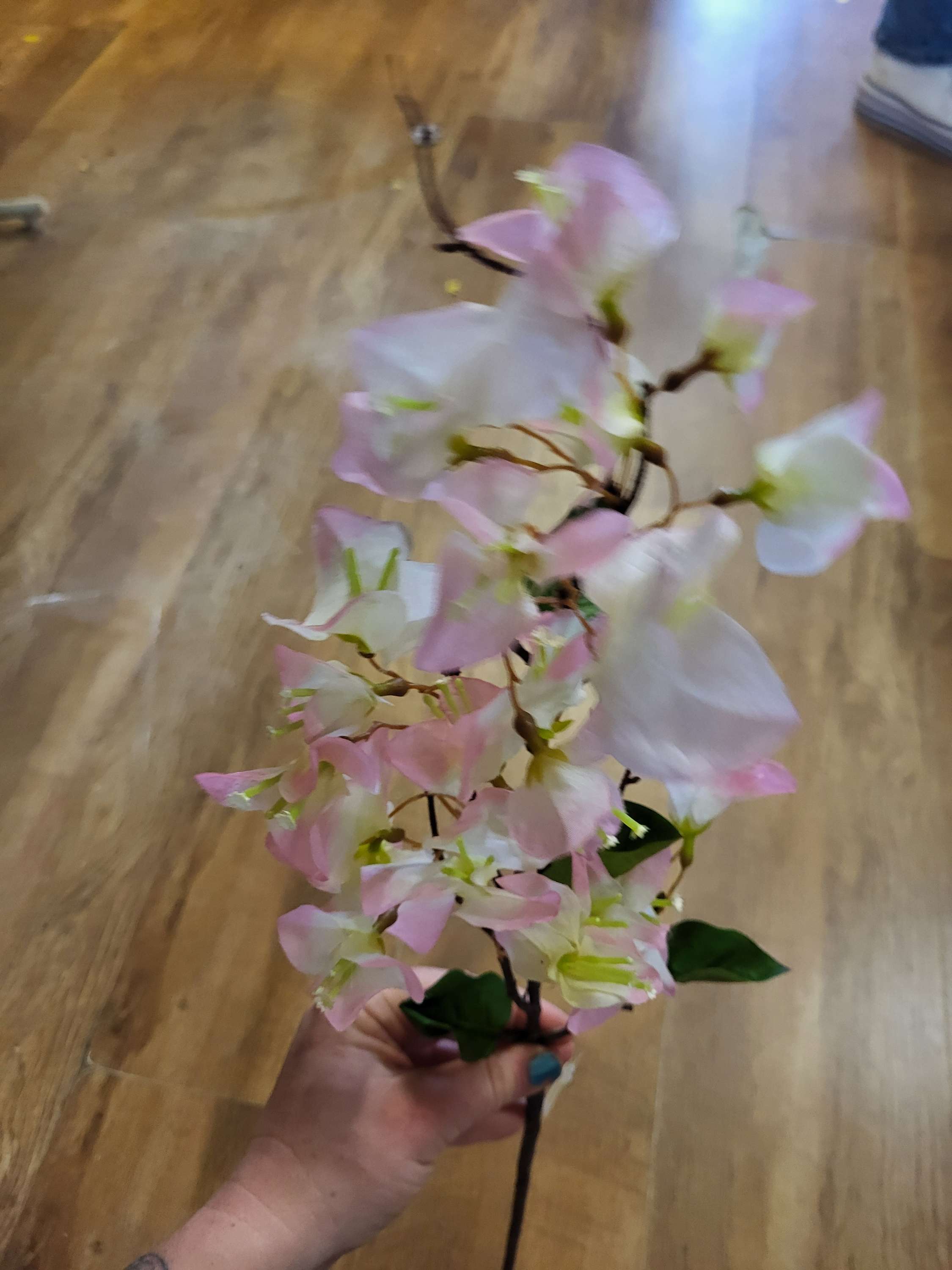 Pink bougainvillea stem image 4