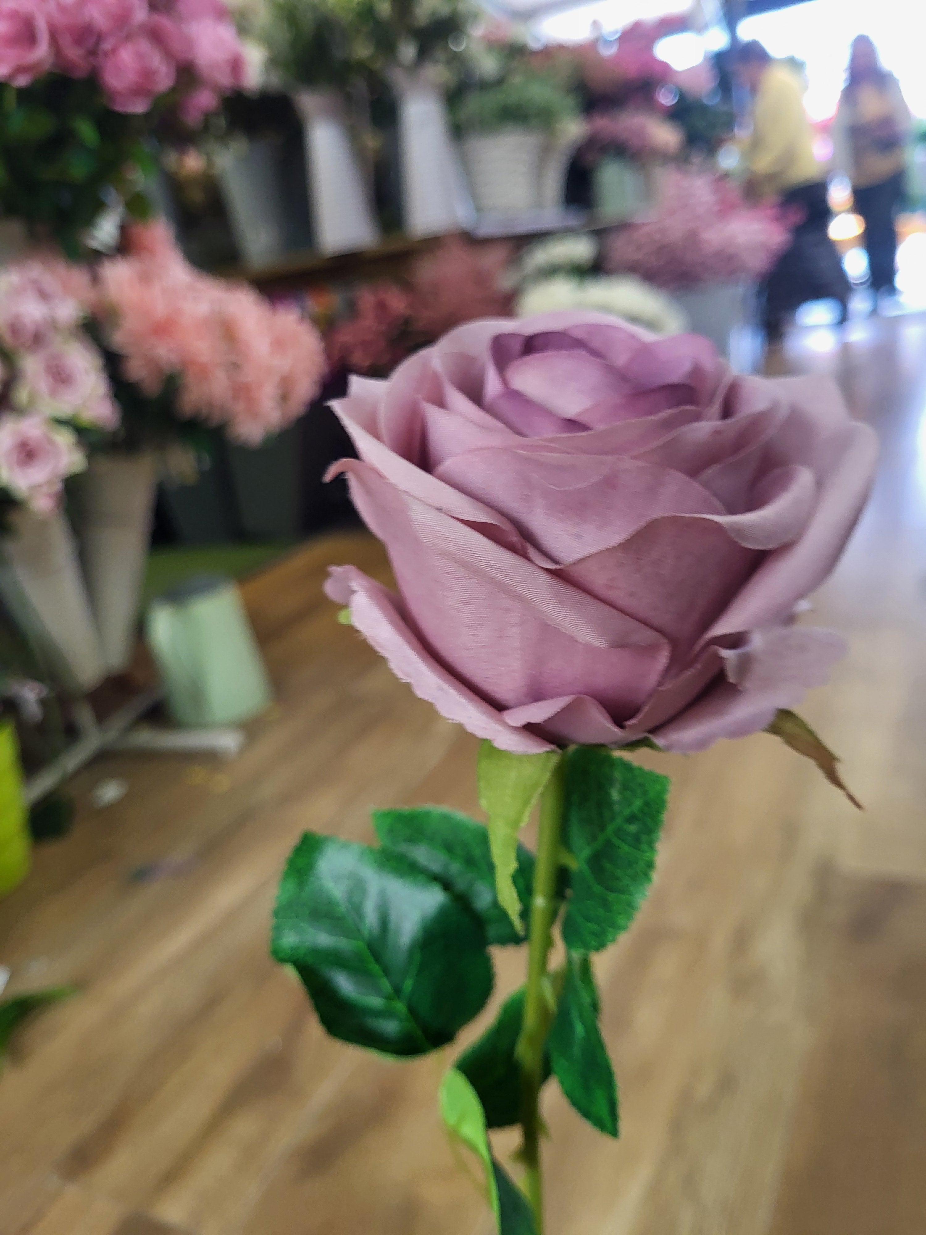 Single vintage mauve Harper rose  image 2