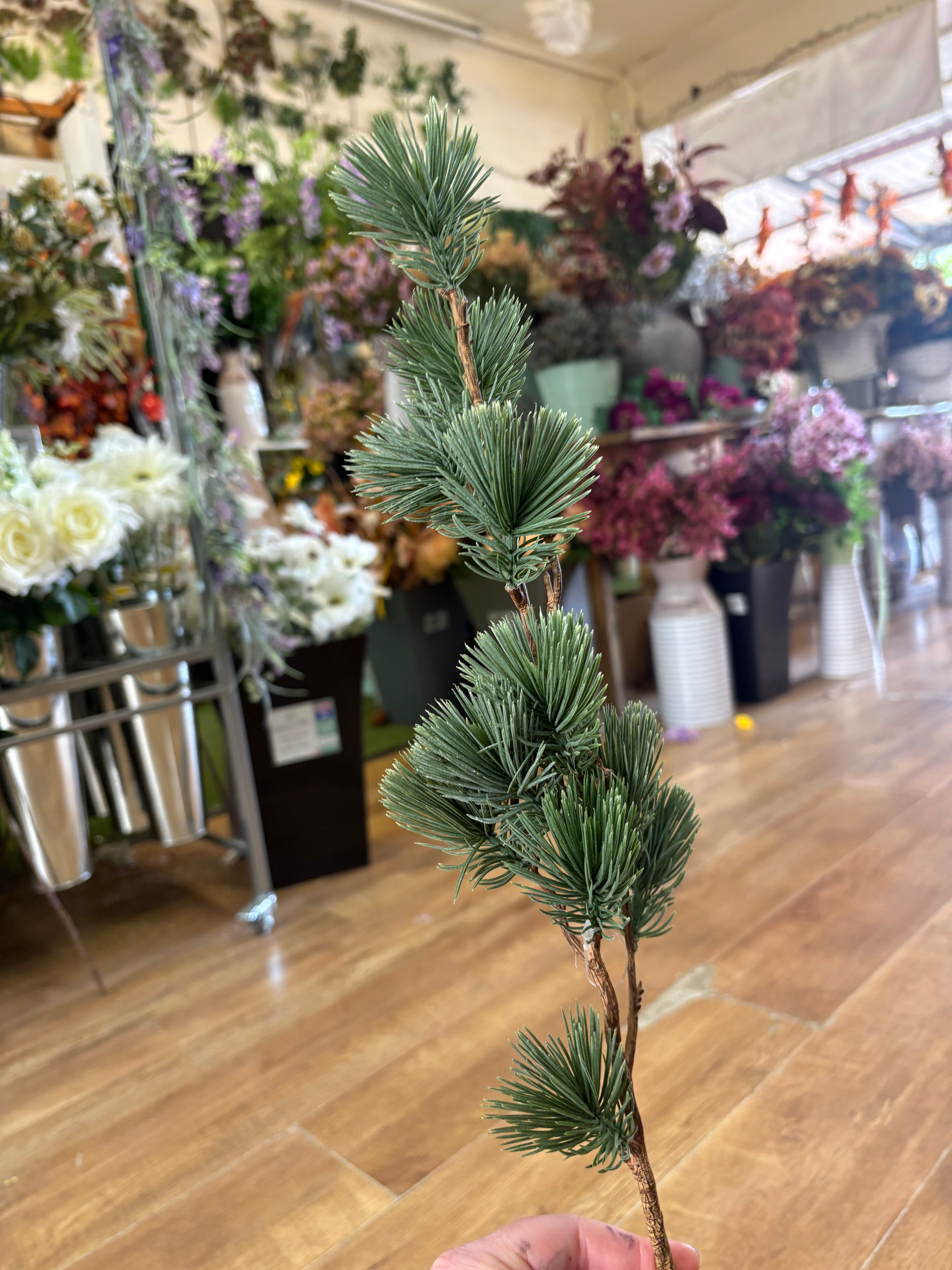 Long stem round cedar pine spray