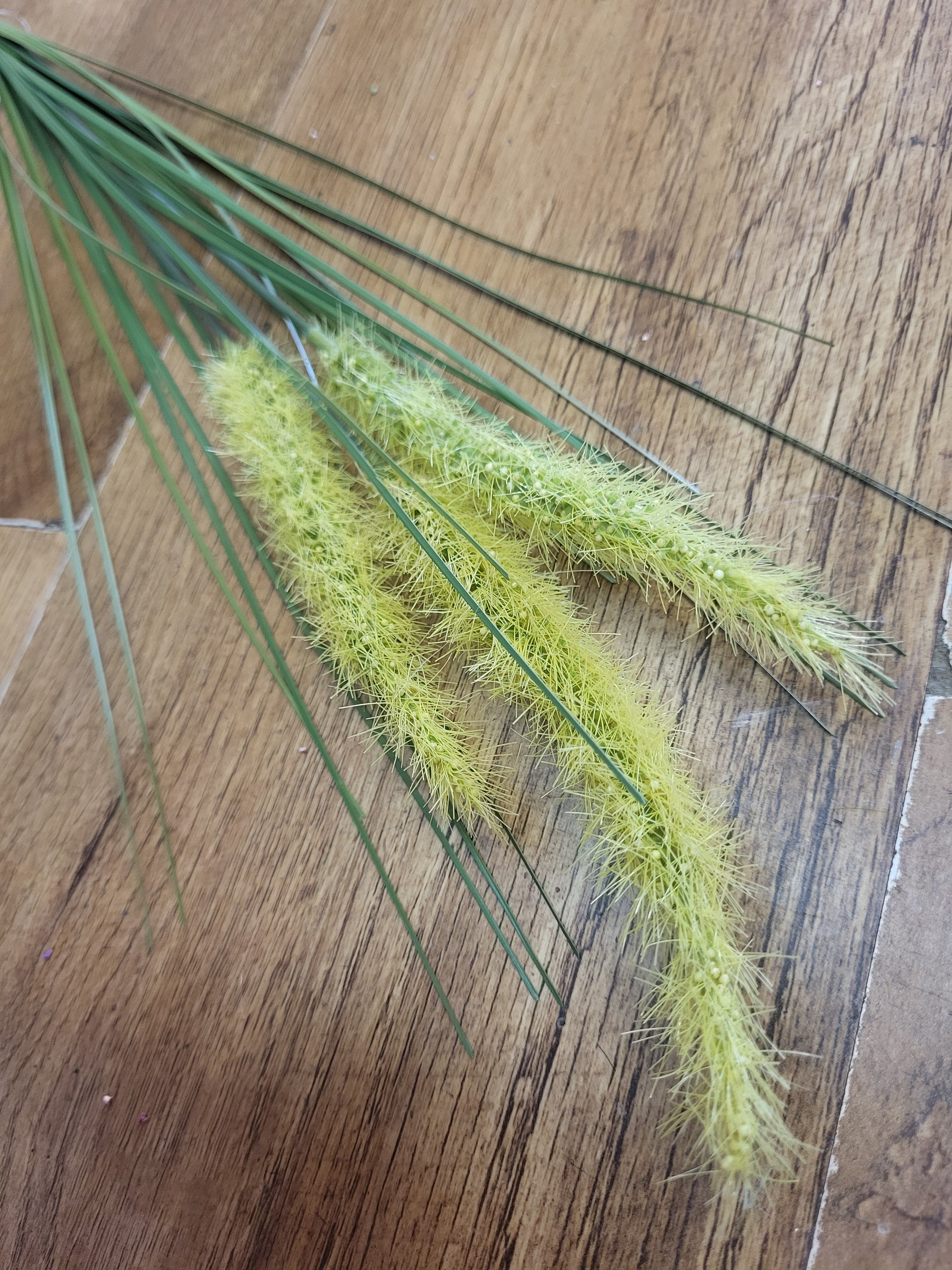 Long stem dog tail grass - 3 colours available image 2