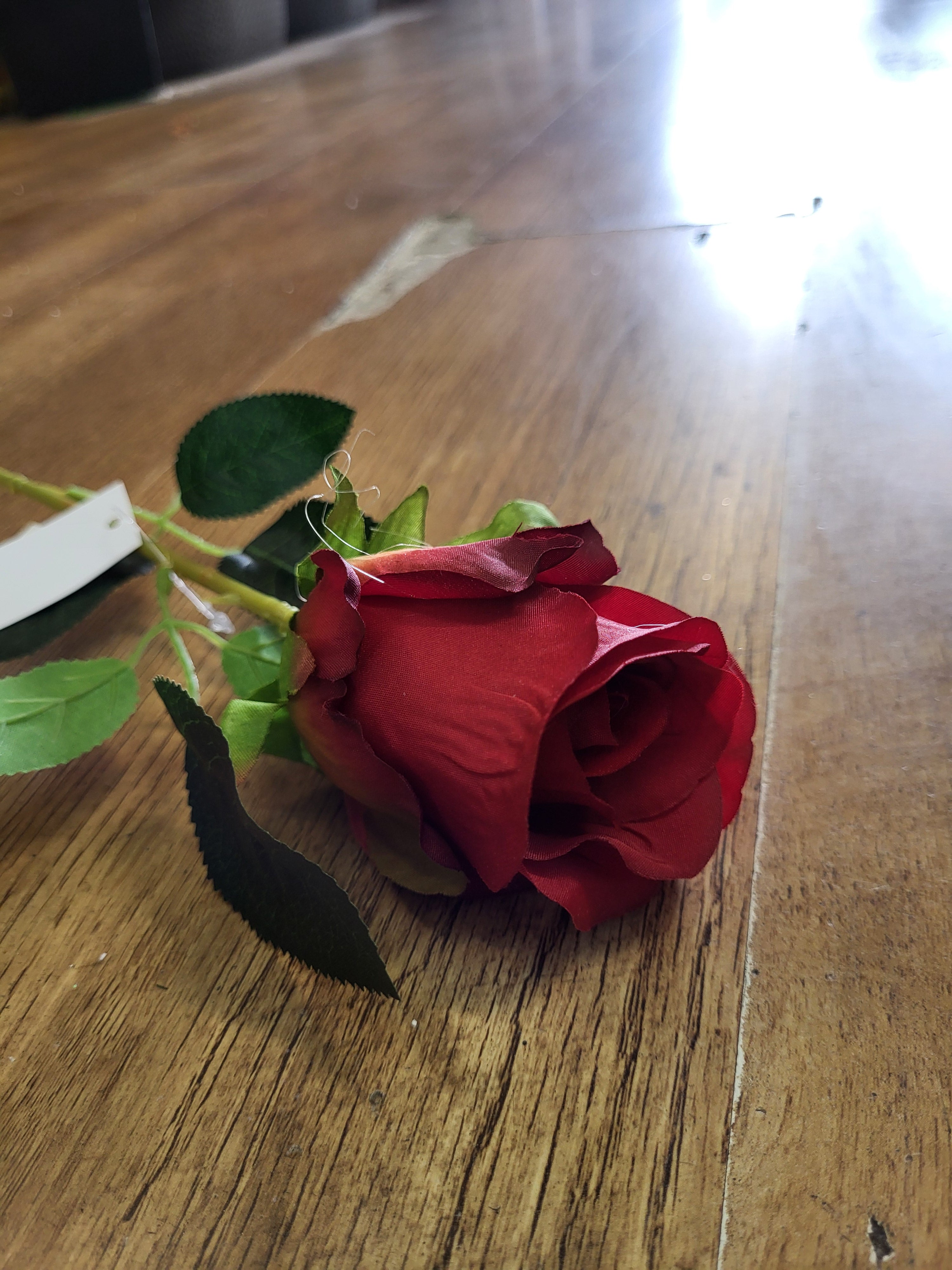 Single Red Celia Rose image 1