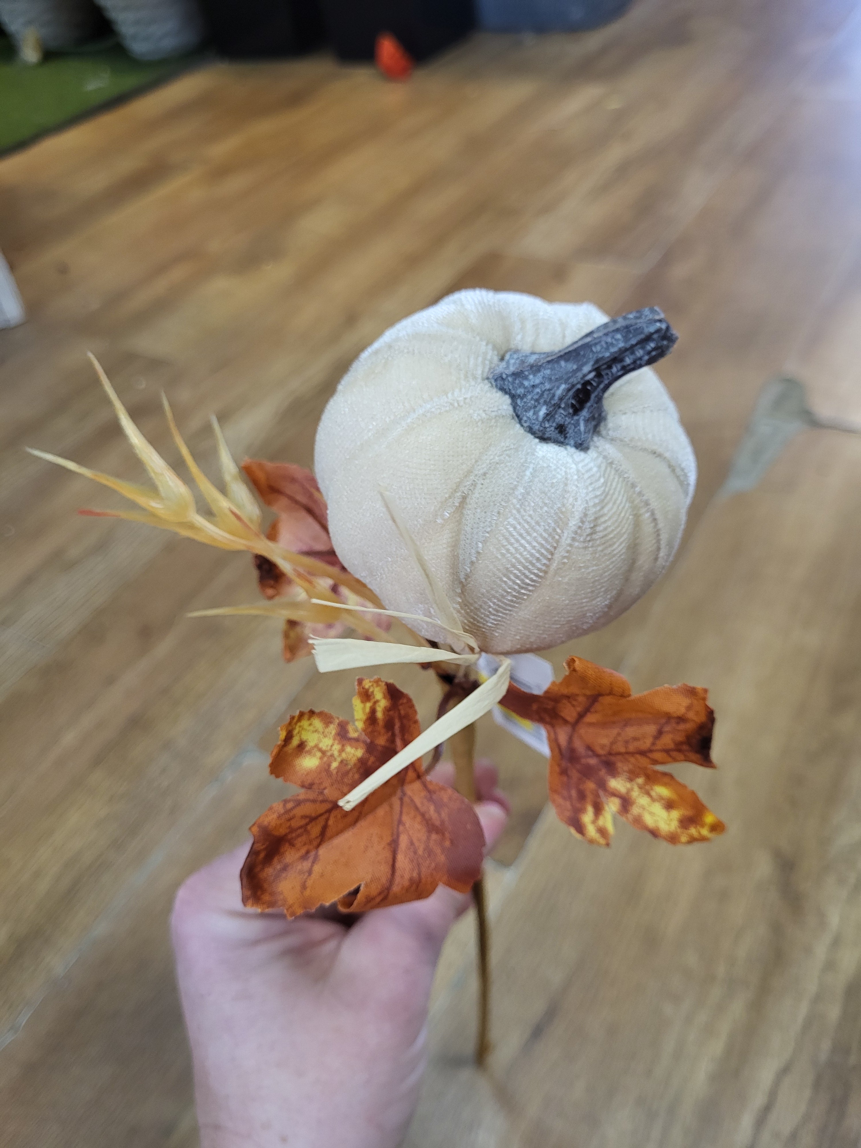 Medium cream velvet pumpkin stem  image 2