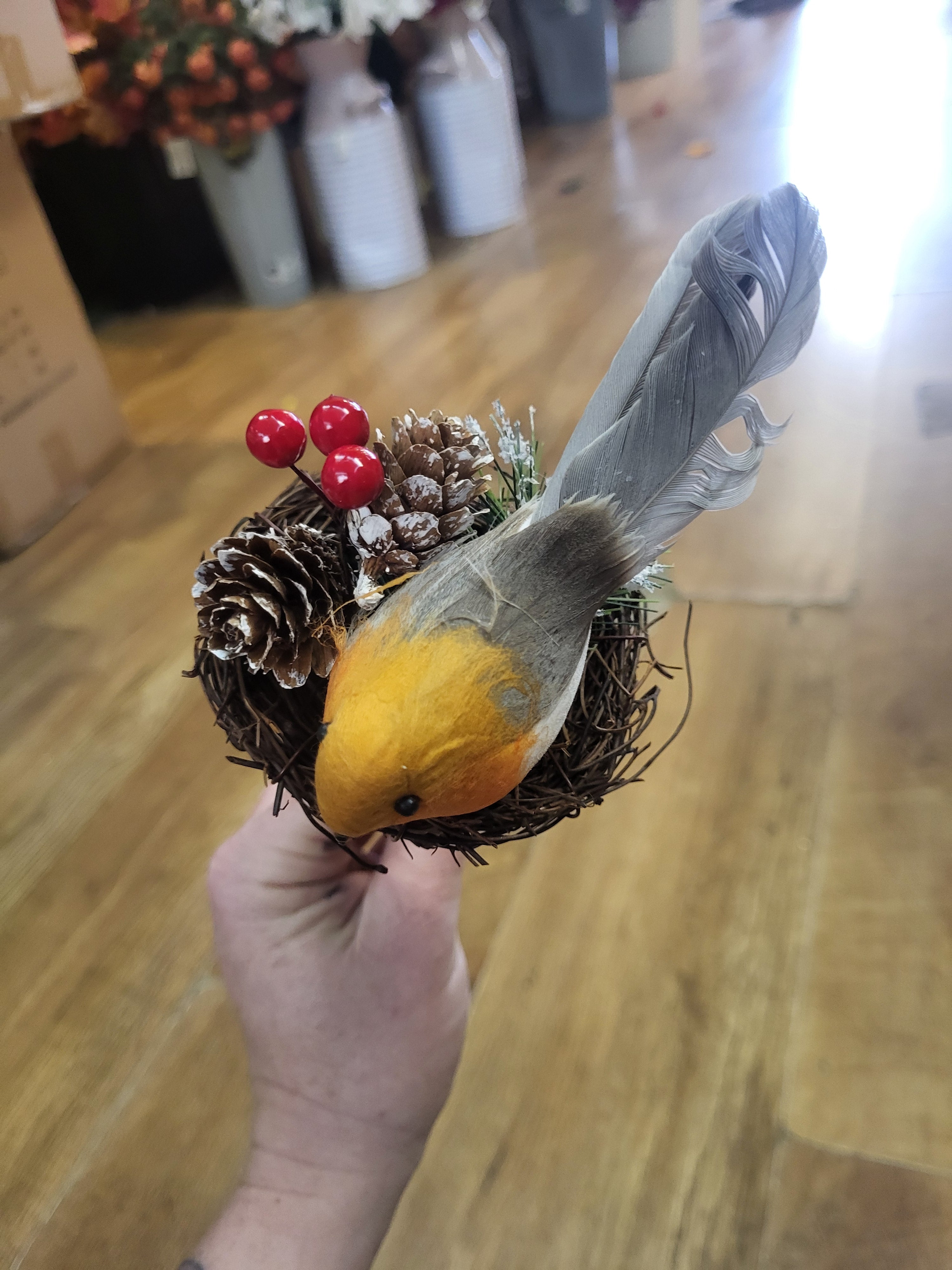 Robin in a nest pick image 3