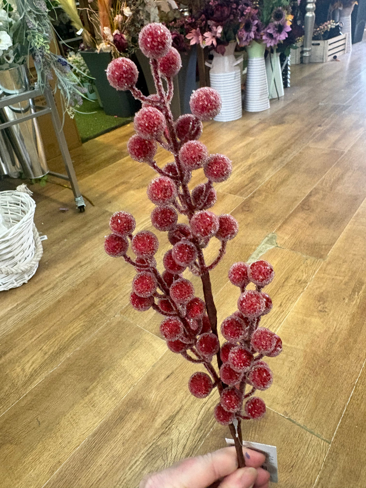 Mediums length frosted darker red berry stem