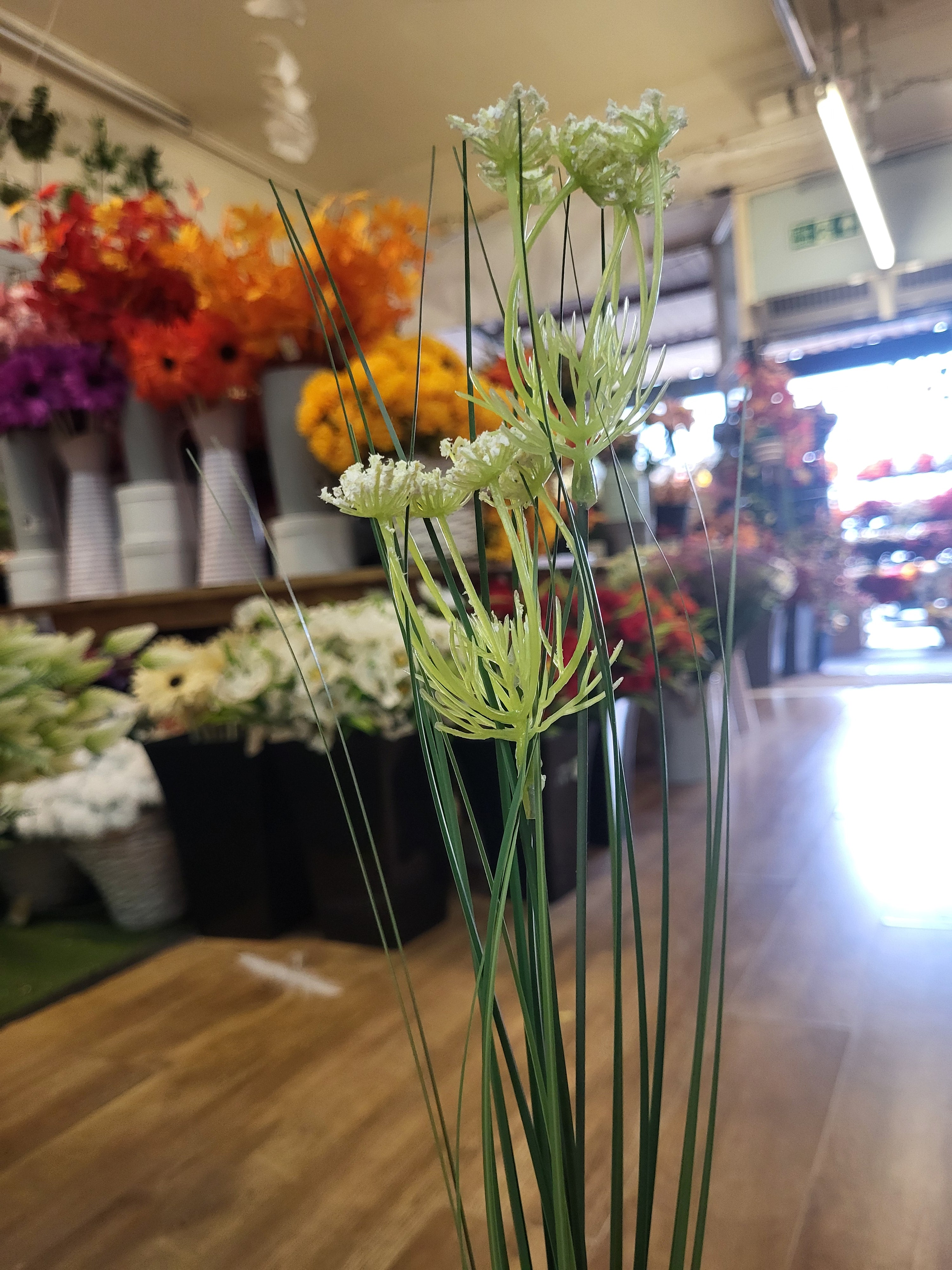 Long stem Allium grass - 3 colours available image 7