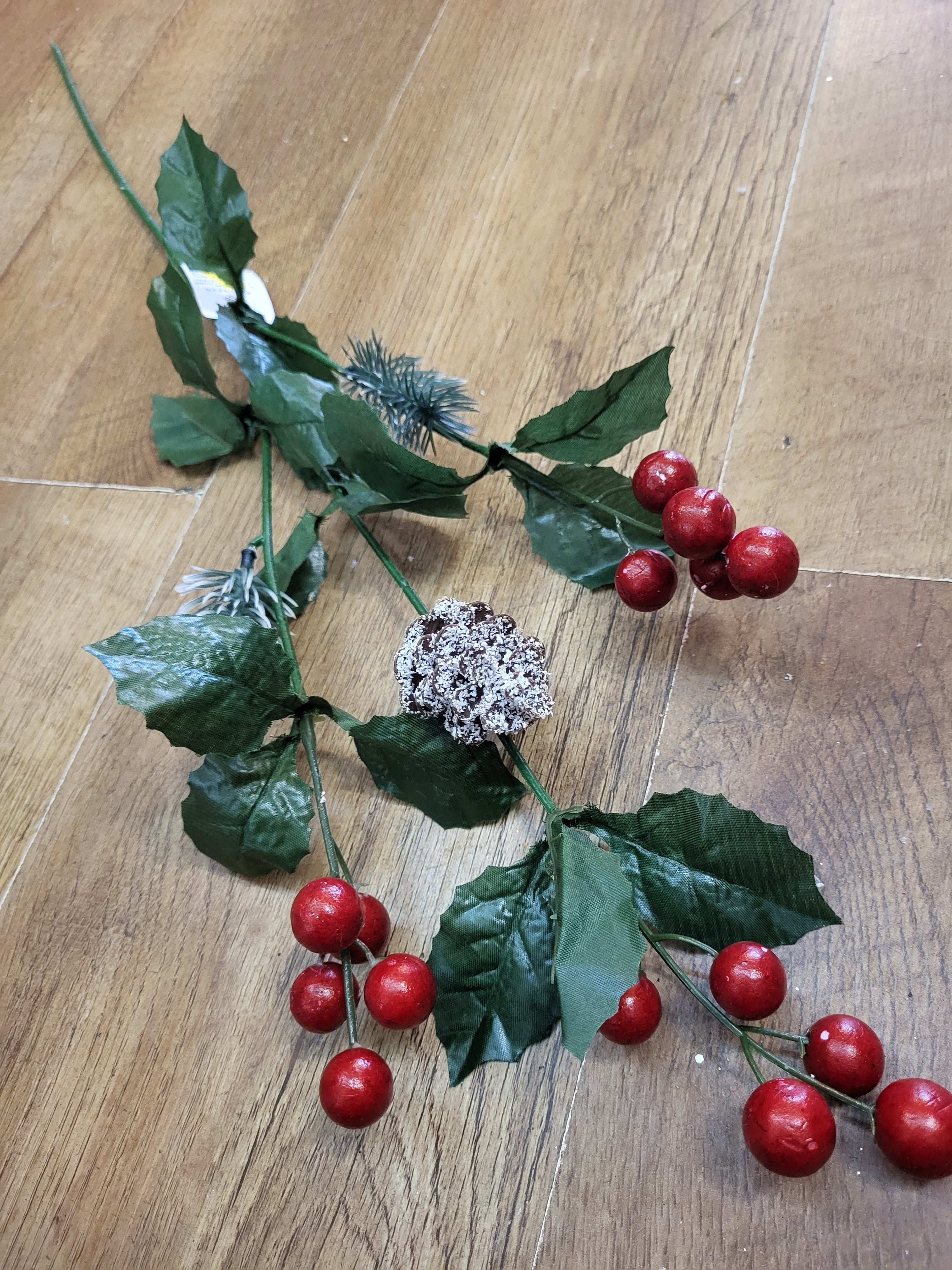 Long stem berries and cone/thistle  image 0