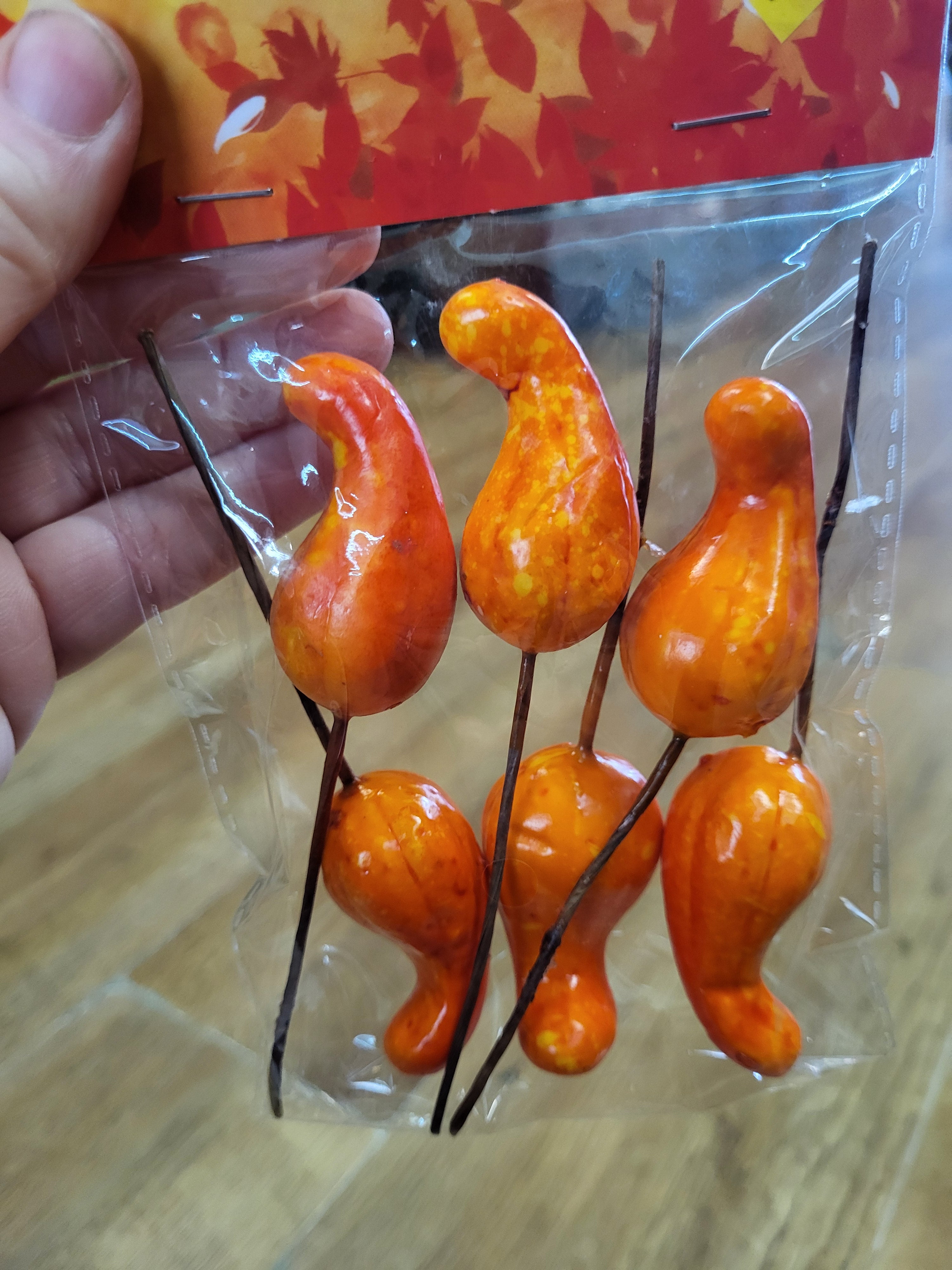 Pack of 6 gourd picks image 0