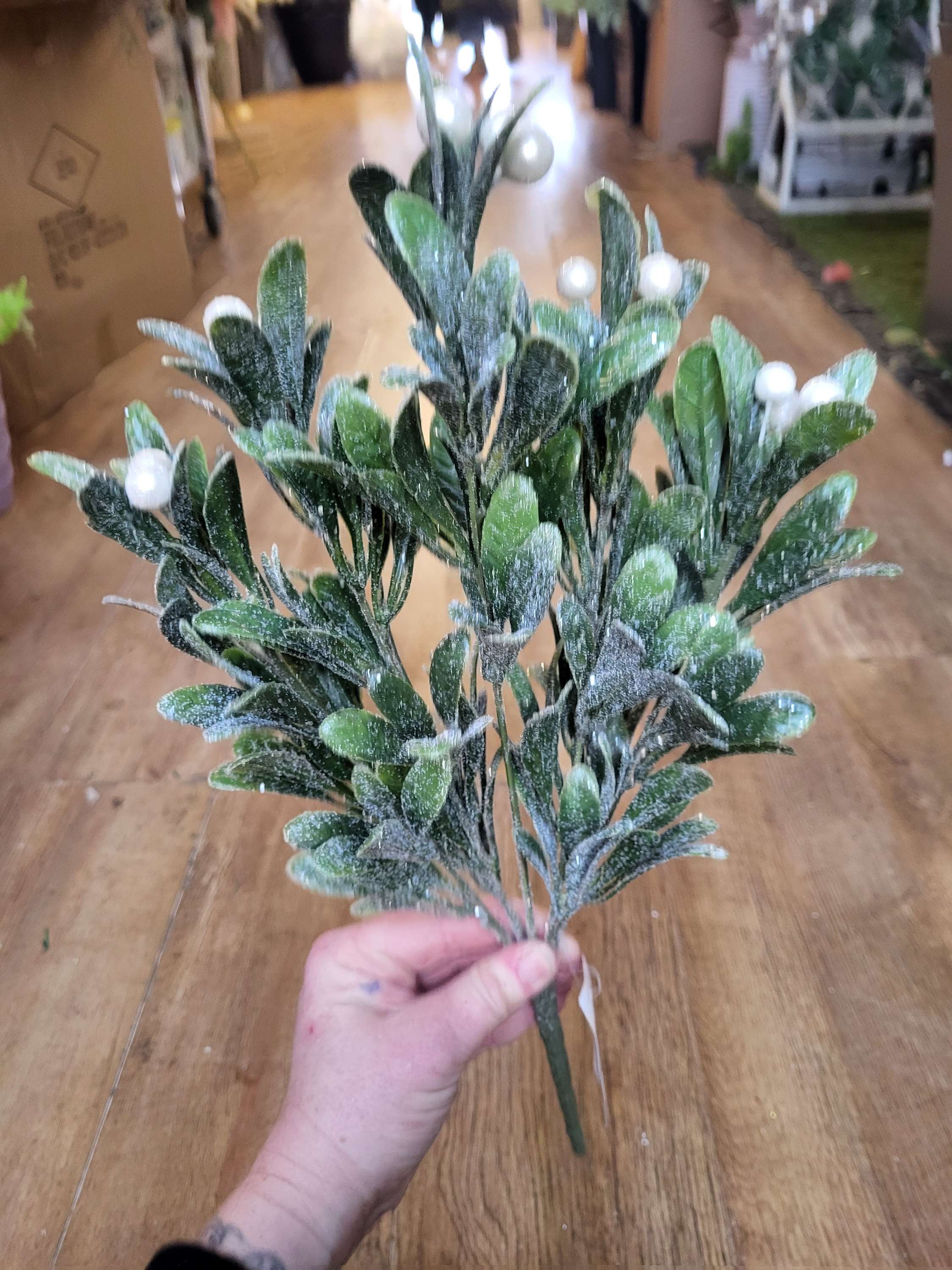 Large frosted pearly mistletoe bunch image 5
