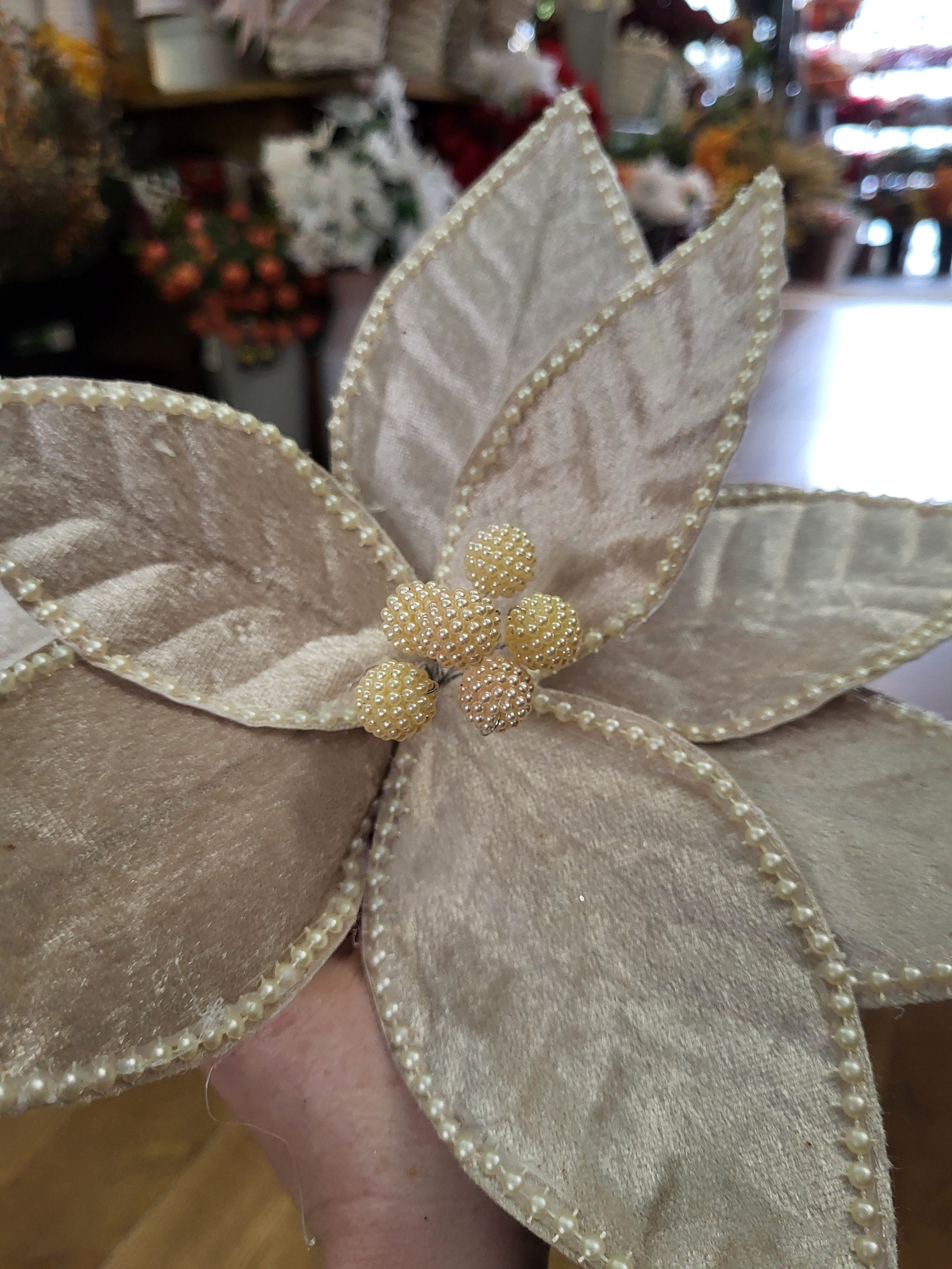 35cm champagne velvet and pearls poinsettia stem image 1