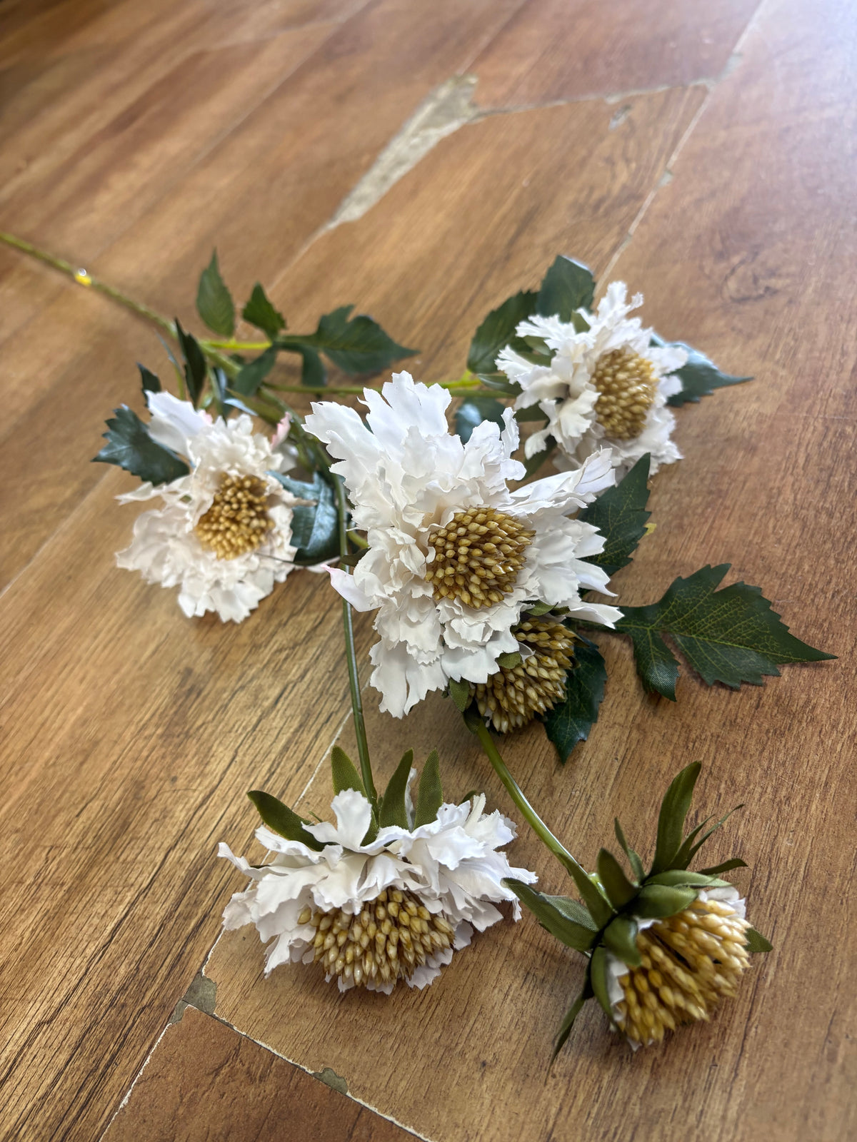75cm tall cream ruffled scabiosa spray