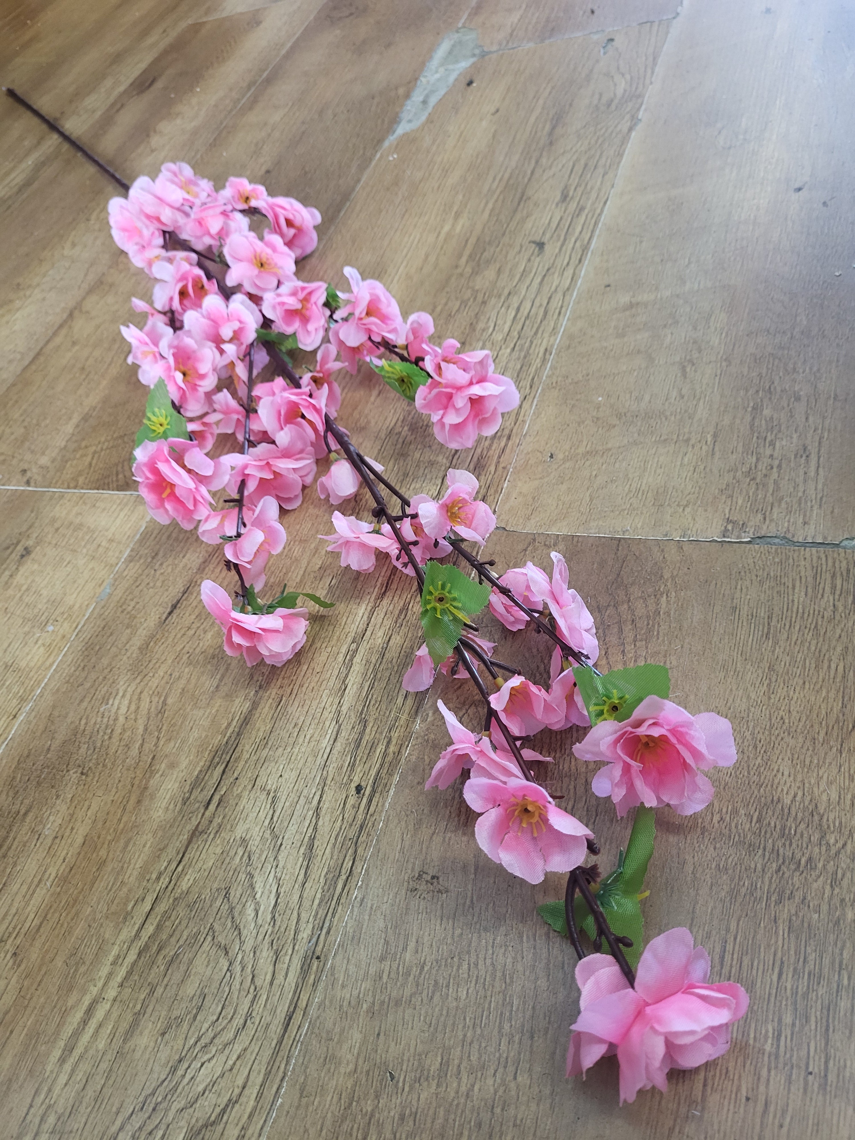 Extra tall pink blossom stem image 4