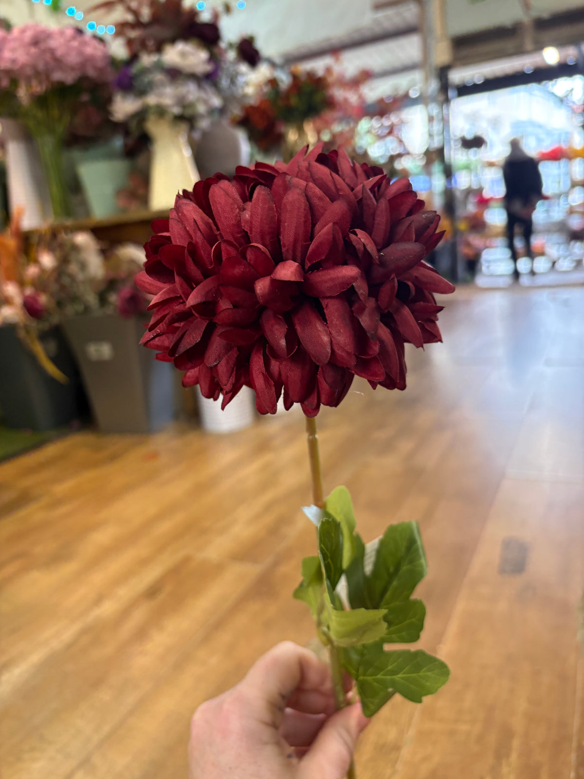 Long stem deep red Pom Pom