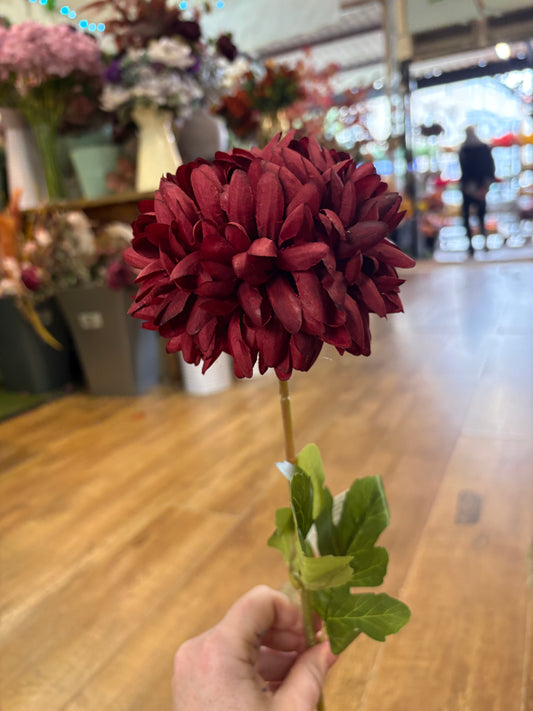 Long stem deep red Pom Pom