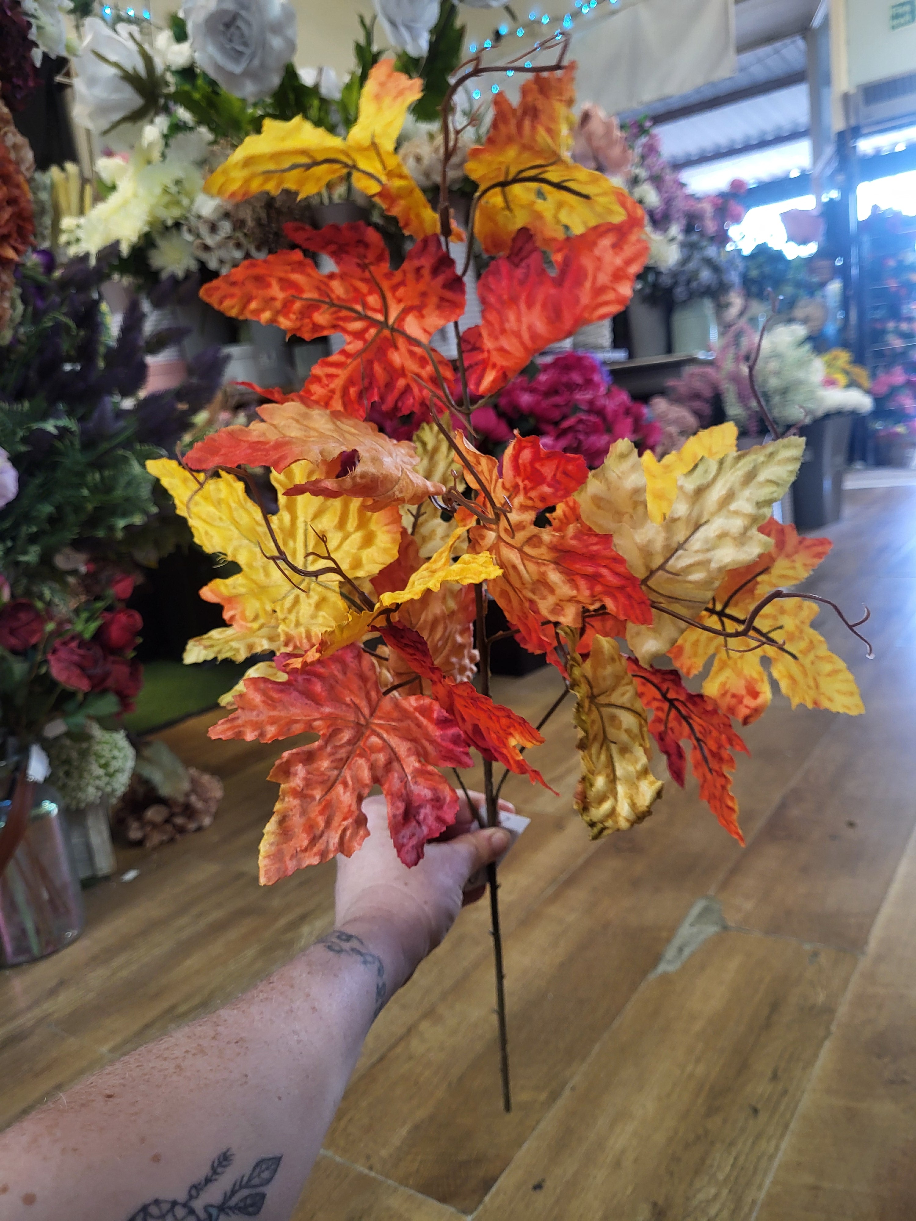 Long stem Autumn Maple leaf image 2