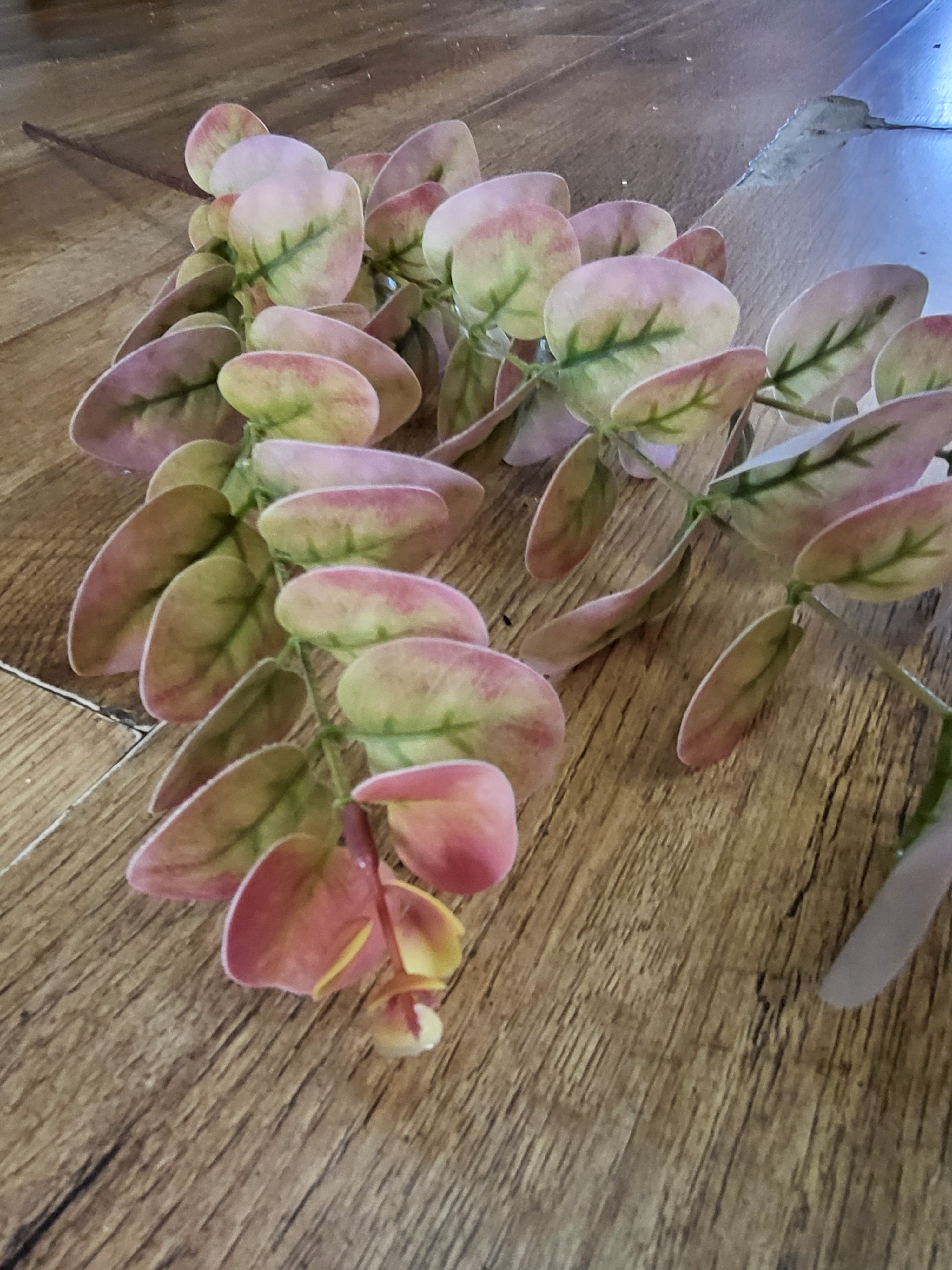 Long stem dark pink and green eucalyptus spray image 1