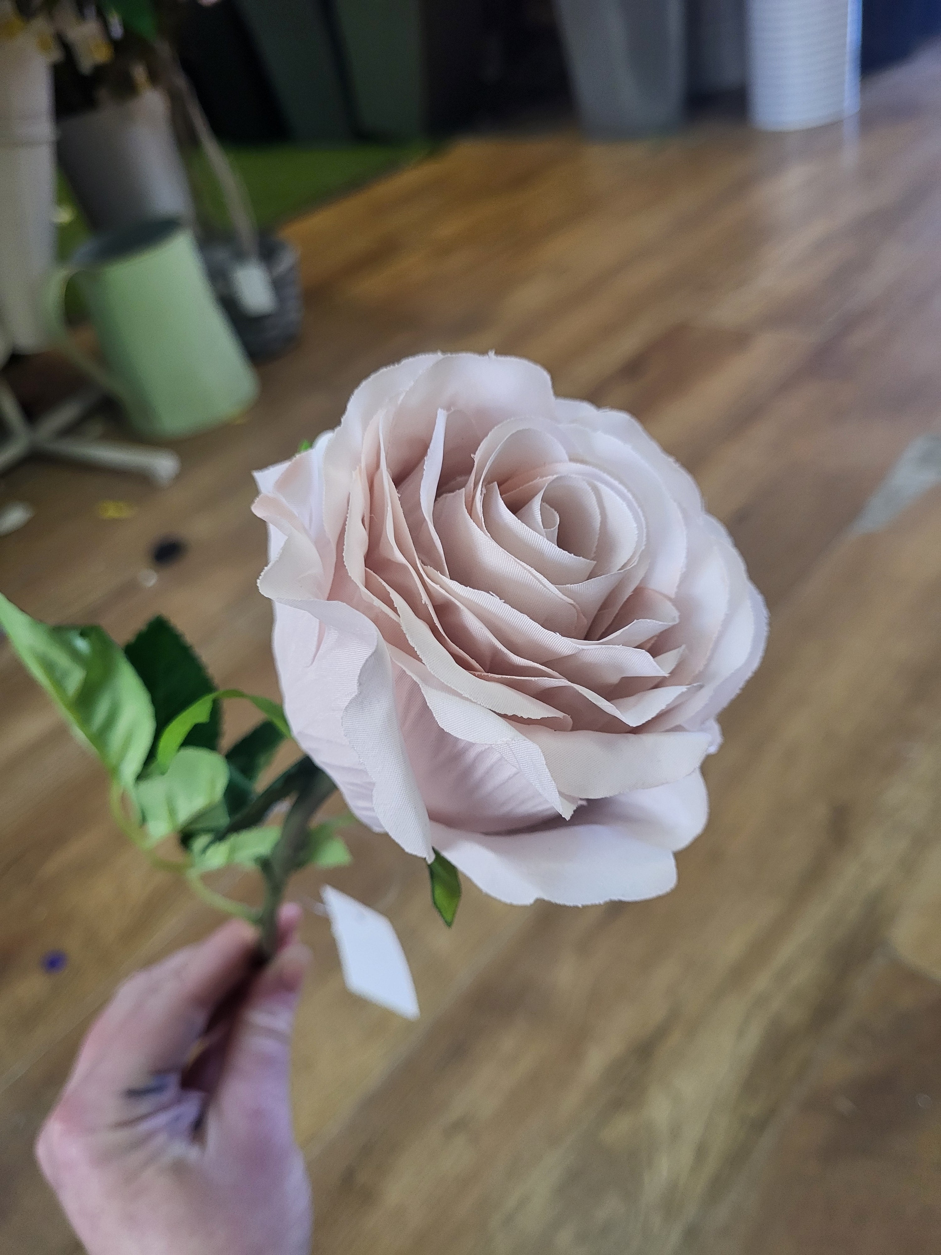 Nude Lila Rose  image 2