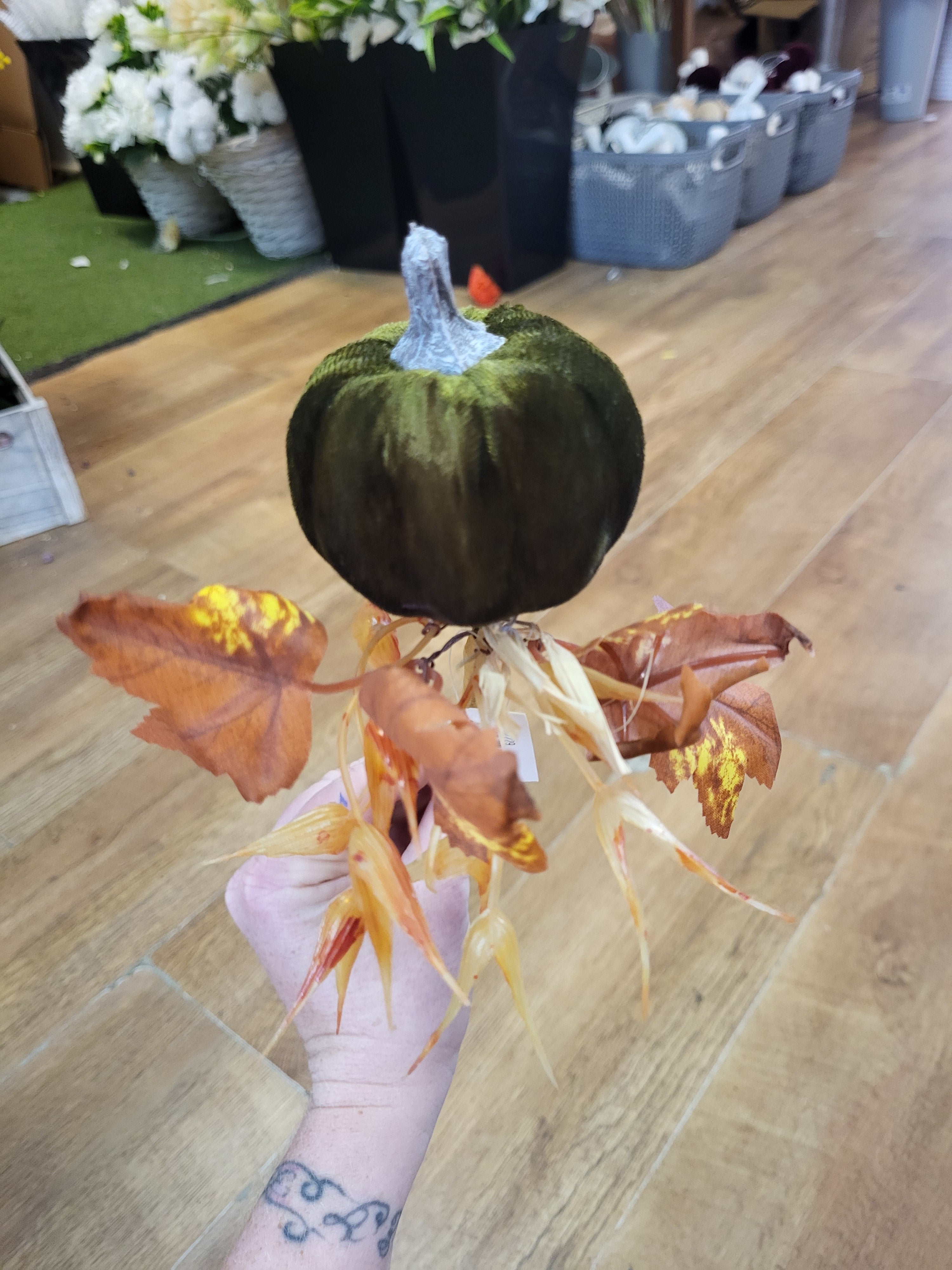 Medium Green velvet pumpkin stem  image 3