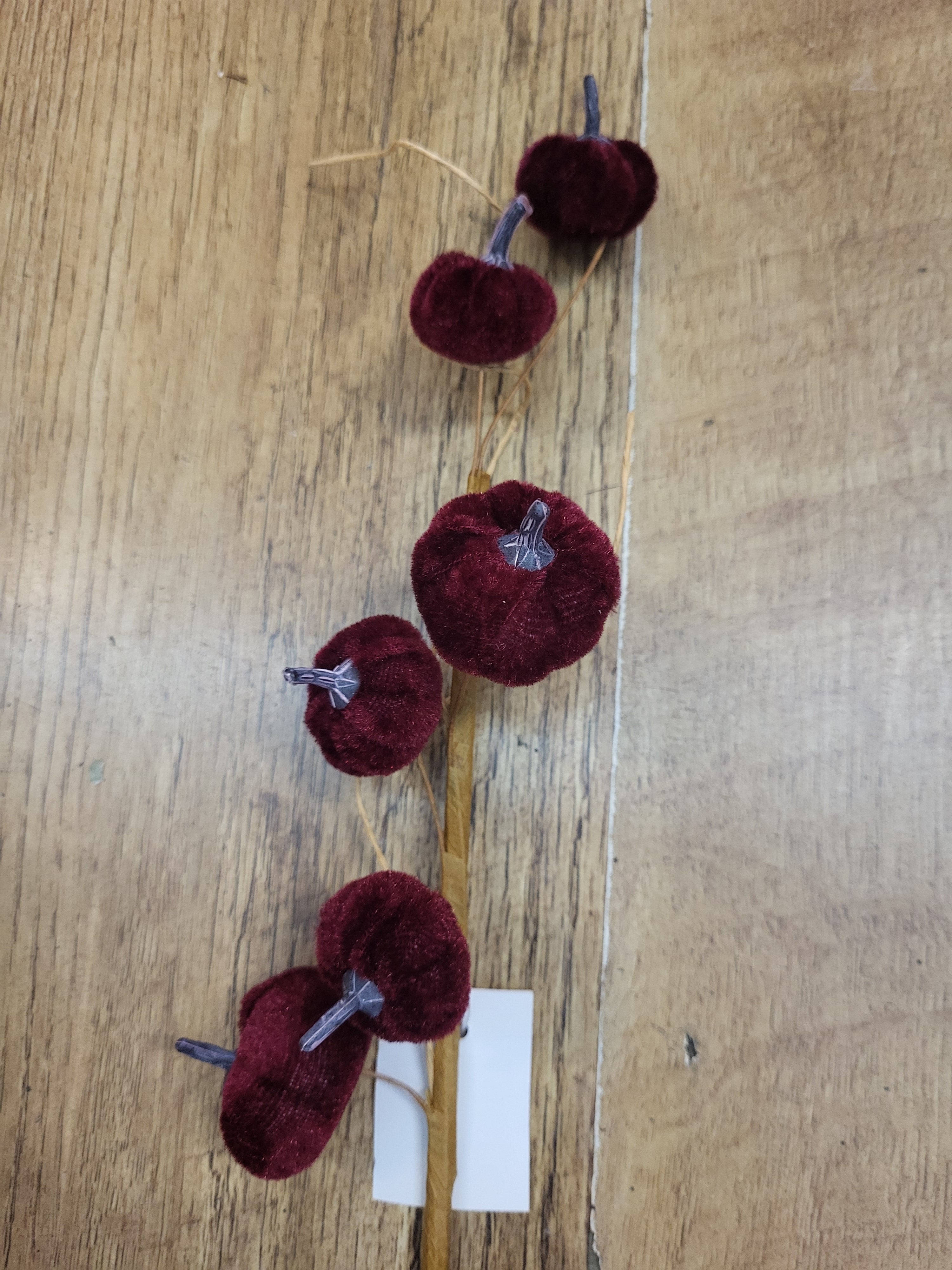 Burgundy velvet miniature pumpkin stem  image 1