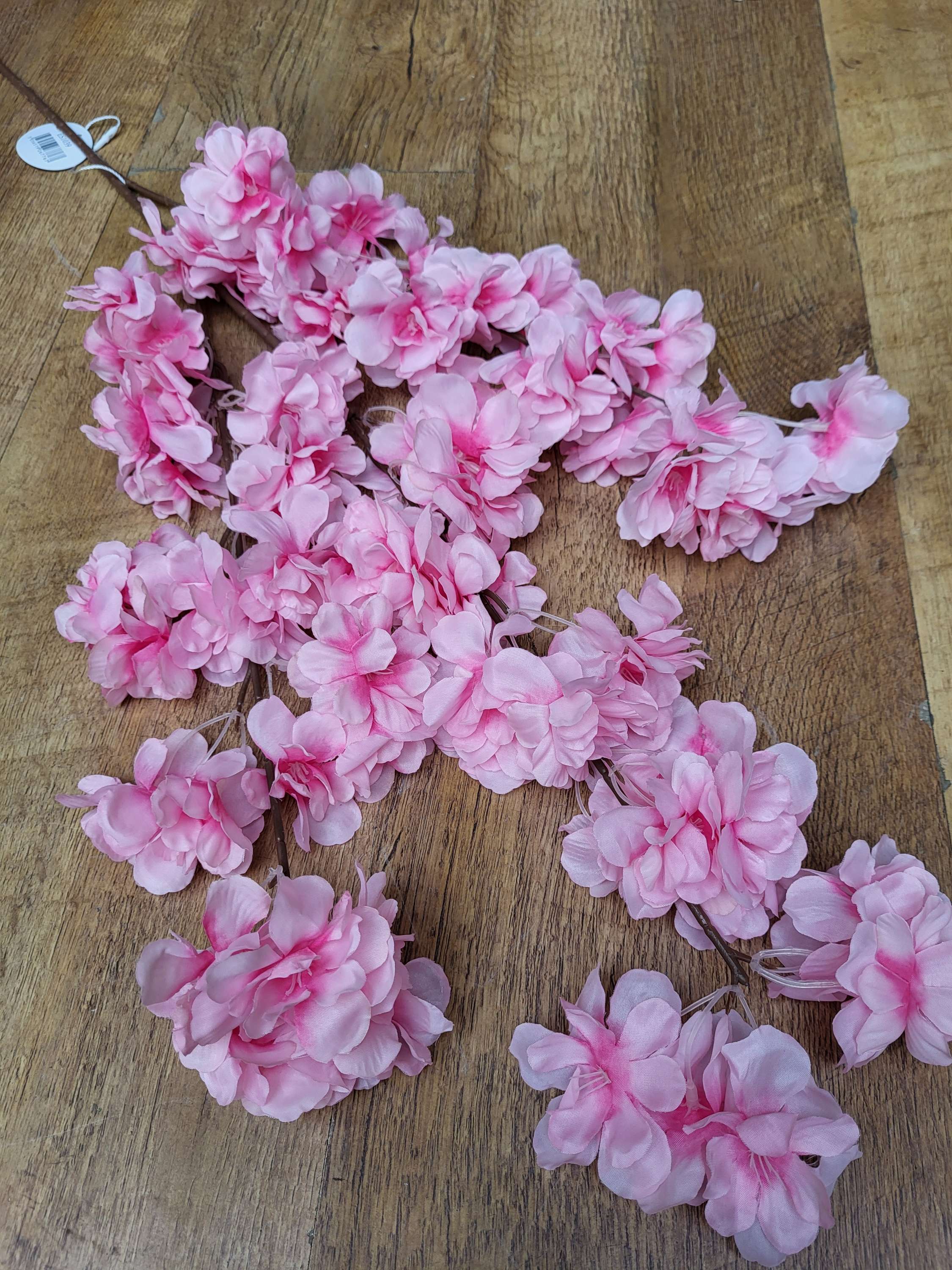 Long stem pink cherry blossom branch image 0