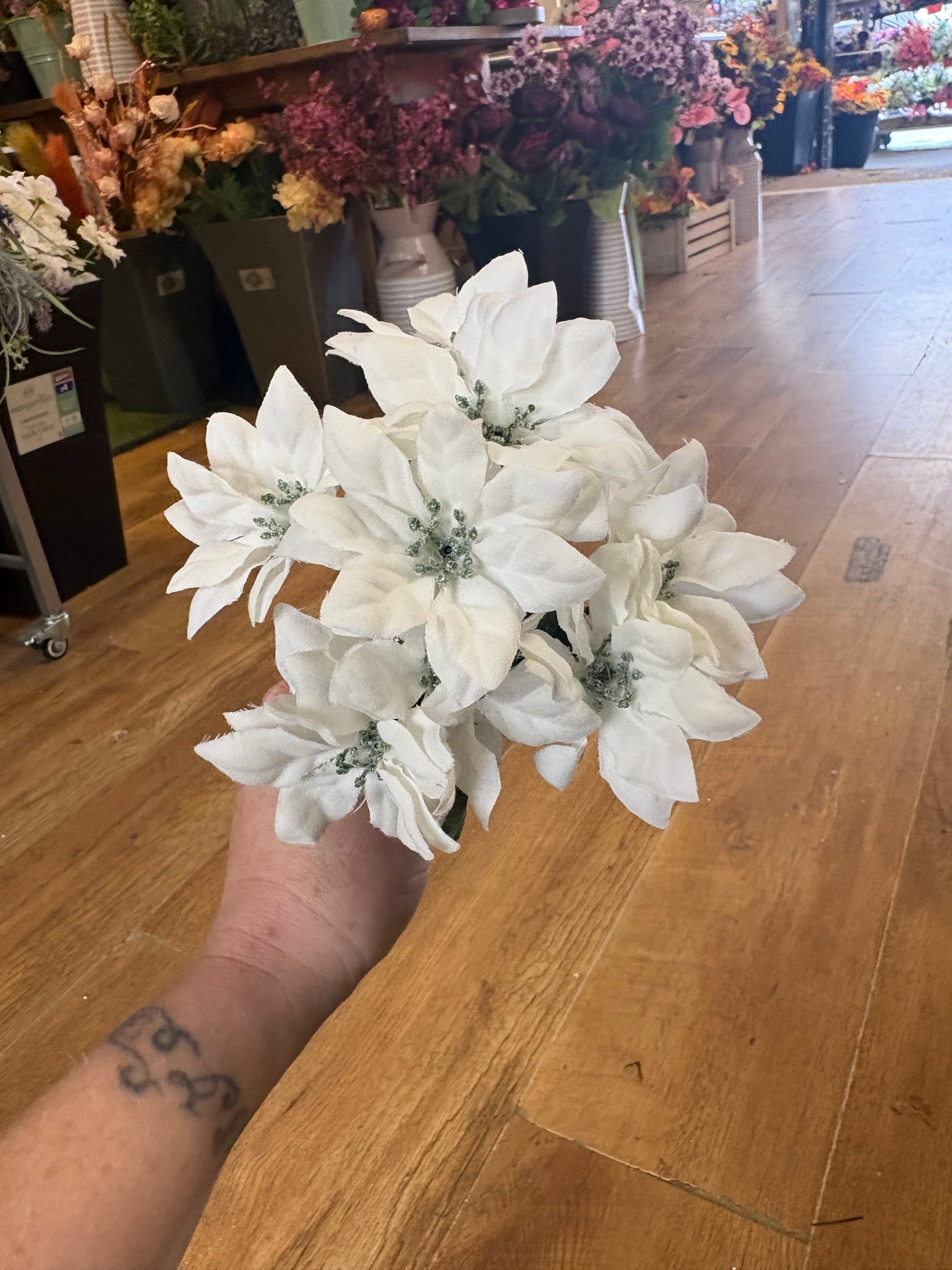 Mini poinsettia bunch - 4 colours available