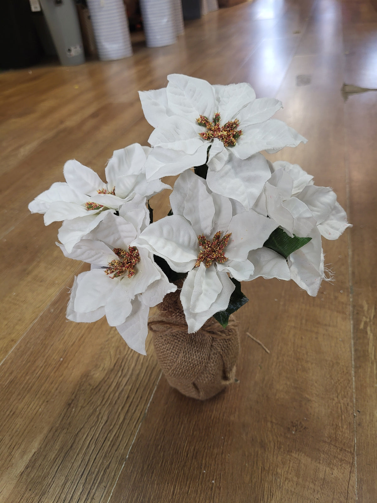 28cm poinsettia wrapped in burlap  - 2 colours available image 2