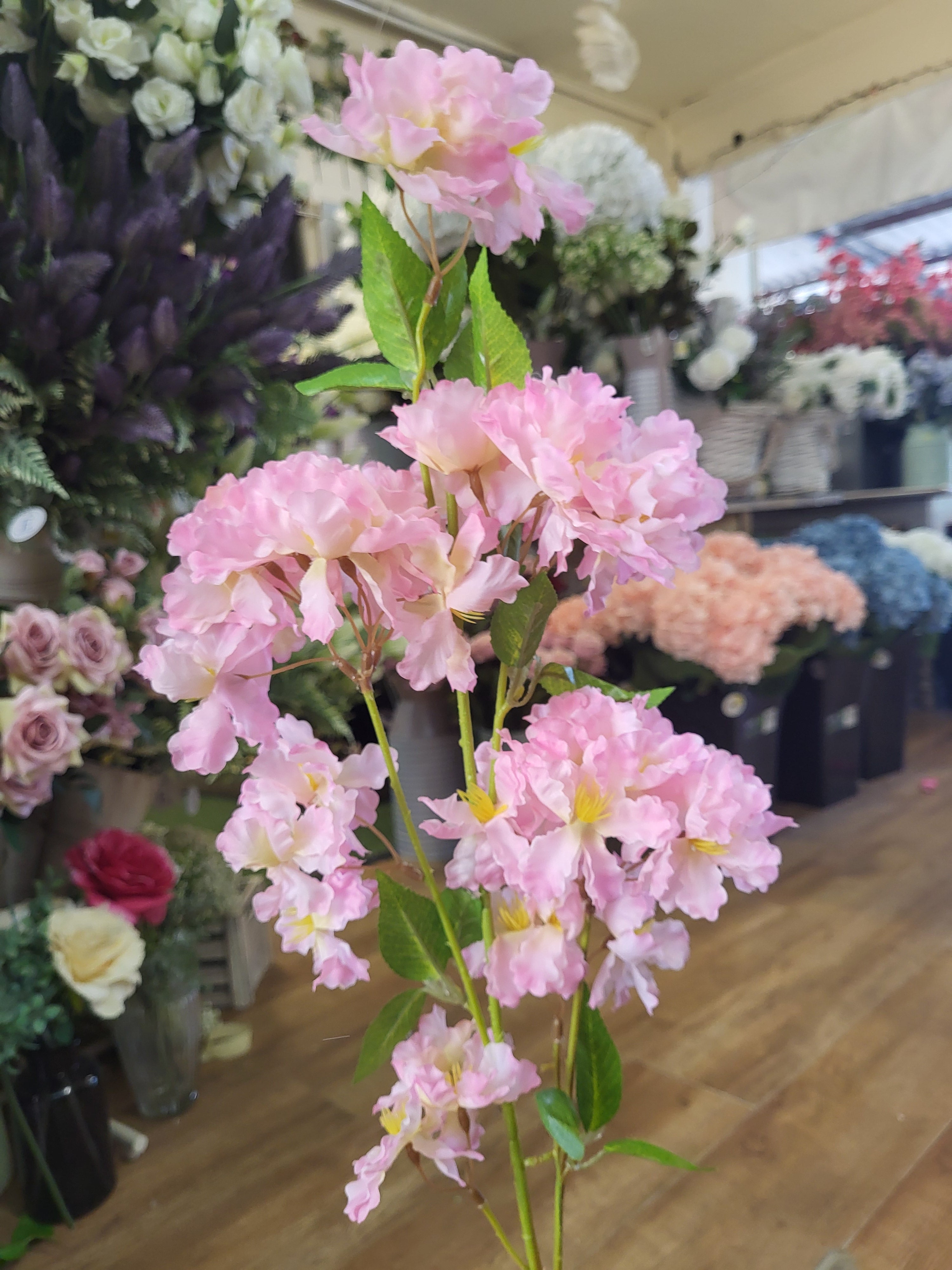 Long stem pink apple tree blossom image 1