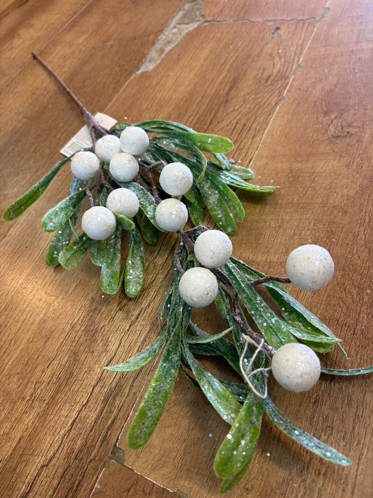 Long stem frosted large berries mistletoe stem