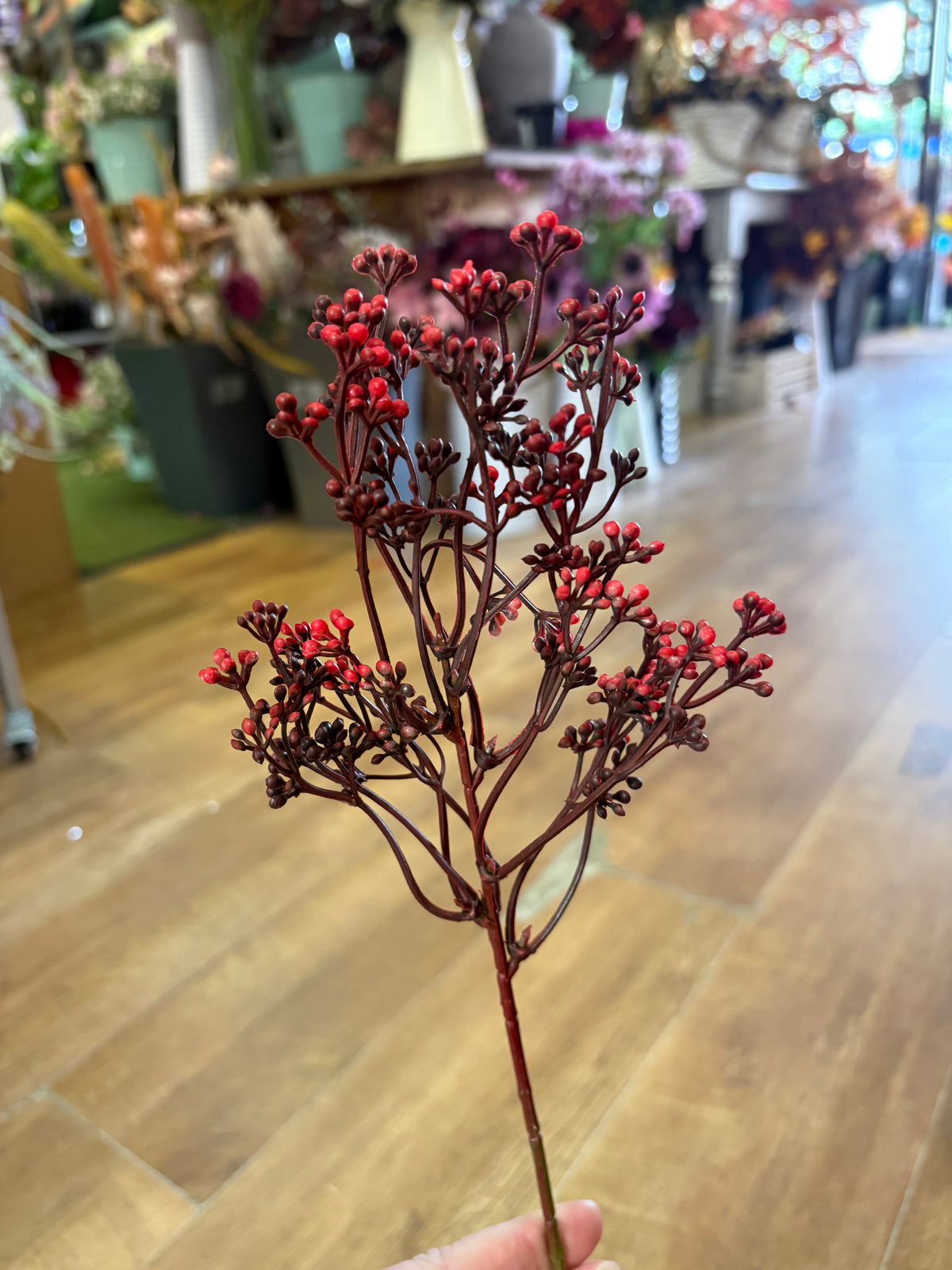 Mixed reds felicity bud pick