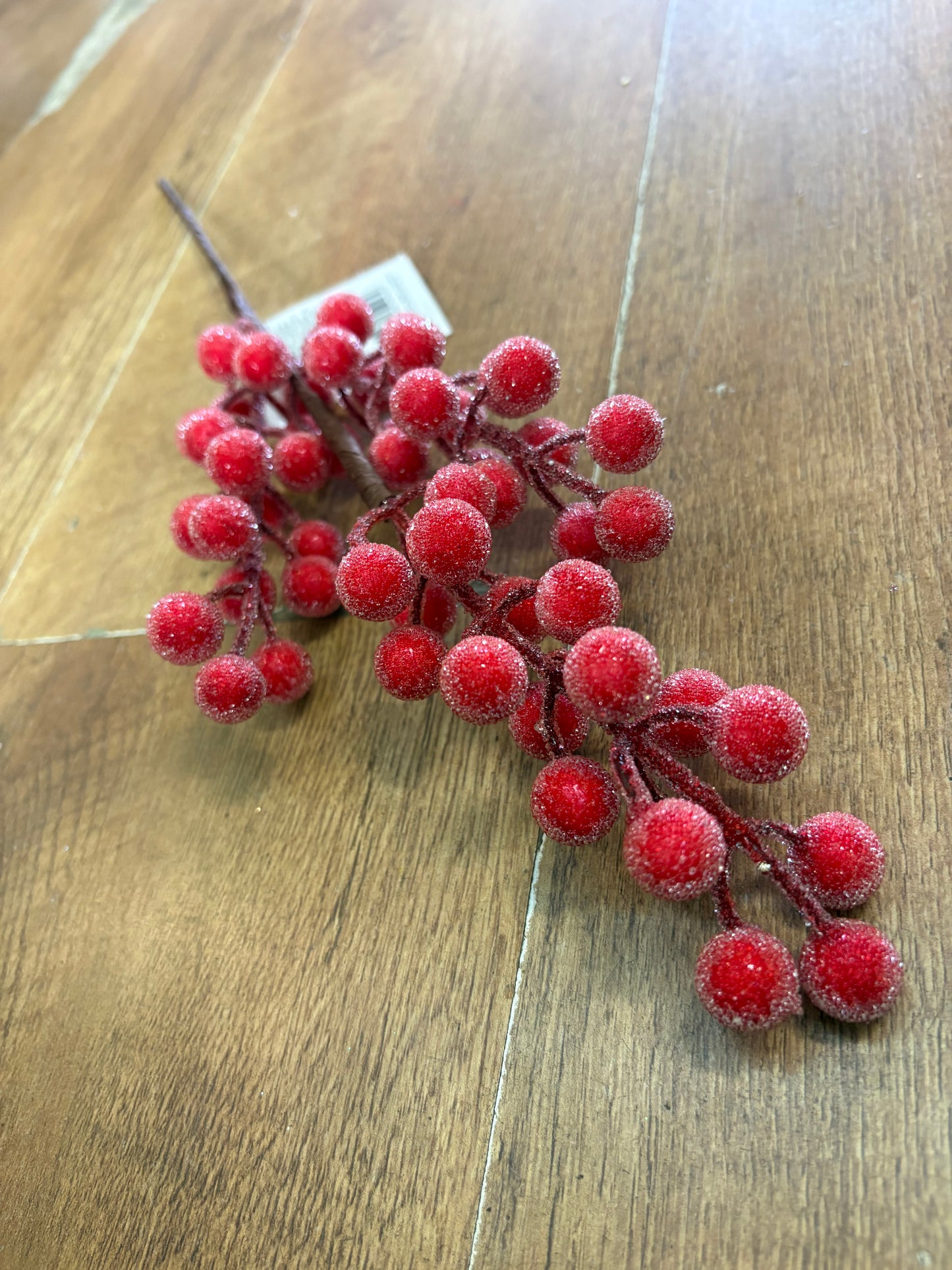 Medium length frosted red berry stem