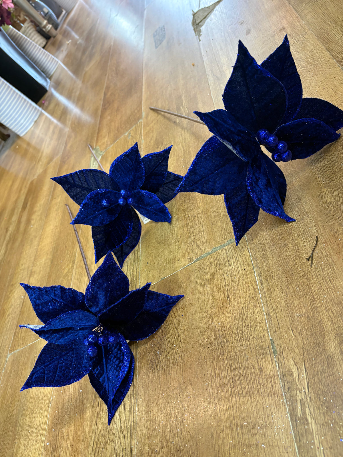 Bundle of 3 royal blue velvet and glitter poinsettias